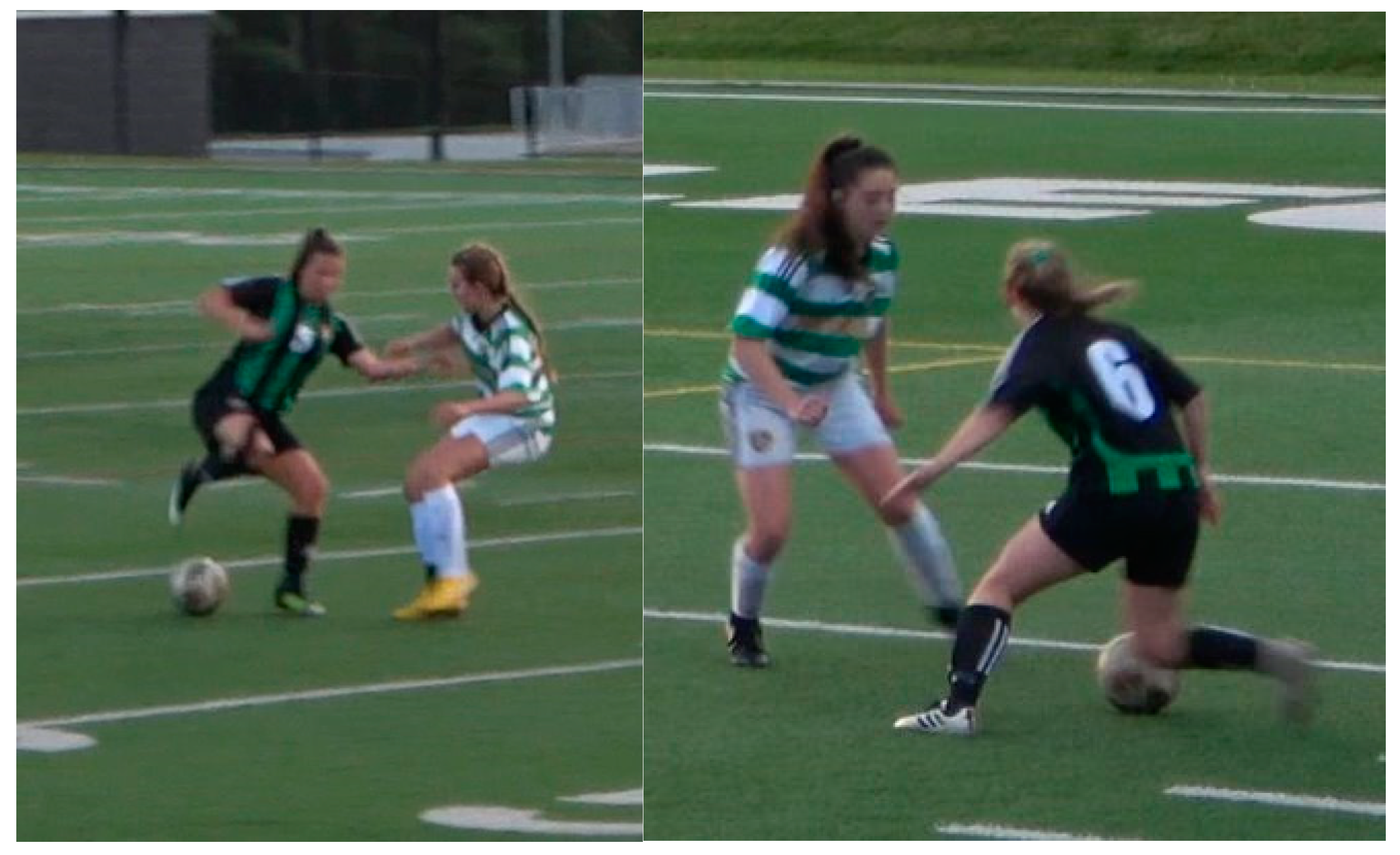 Biomechanics 03 00021 g002 Biomechanics 03 00021 g002