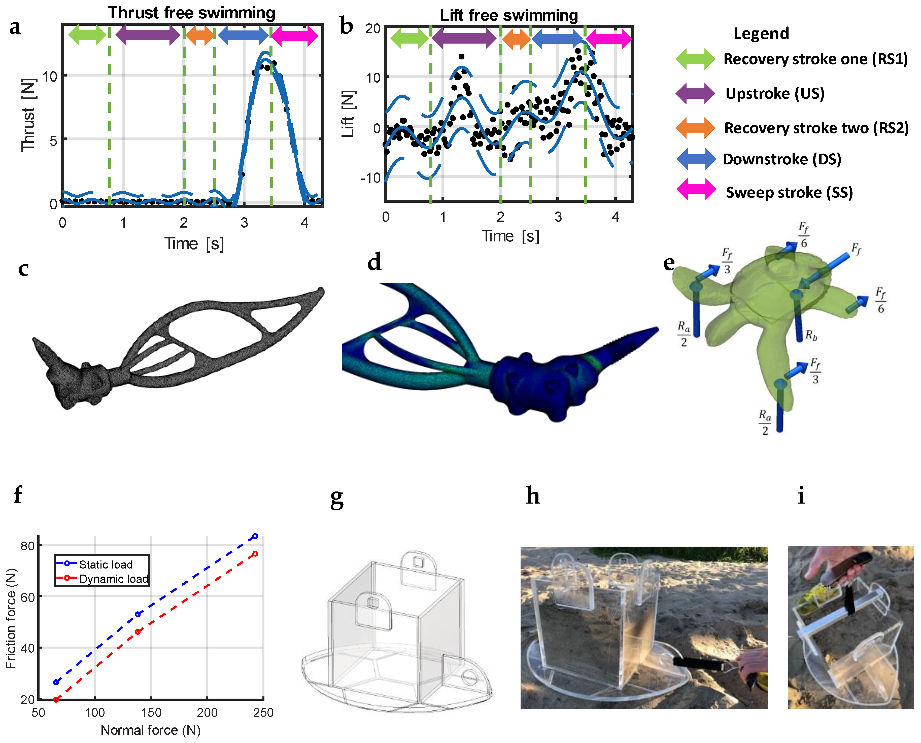 Biomechanics 03 00033 g002
