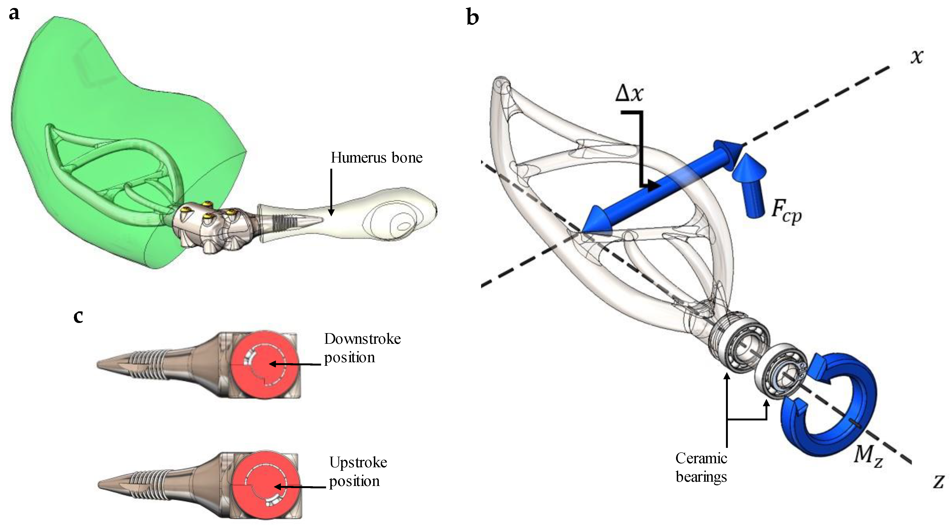 Biomechanics 03 00033 g003