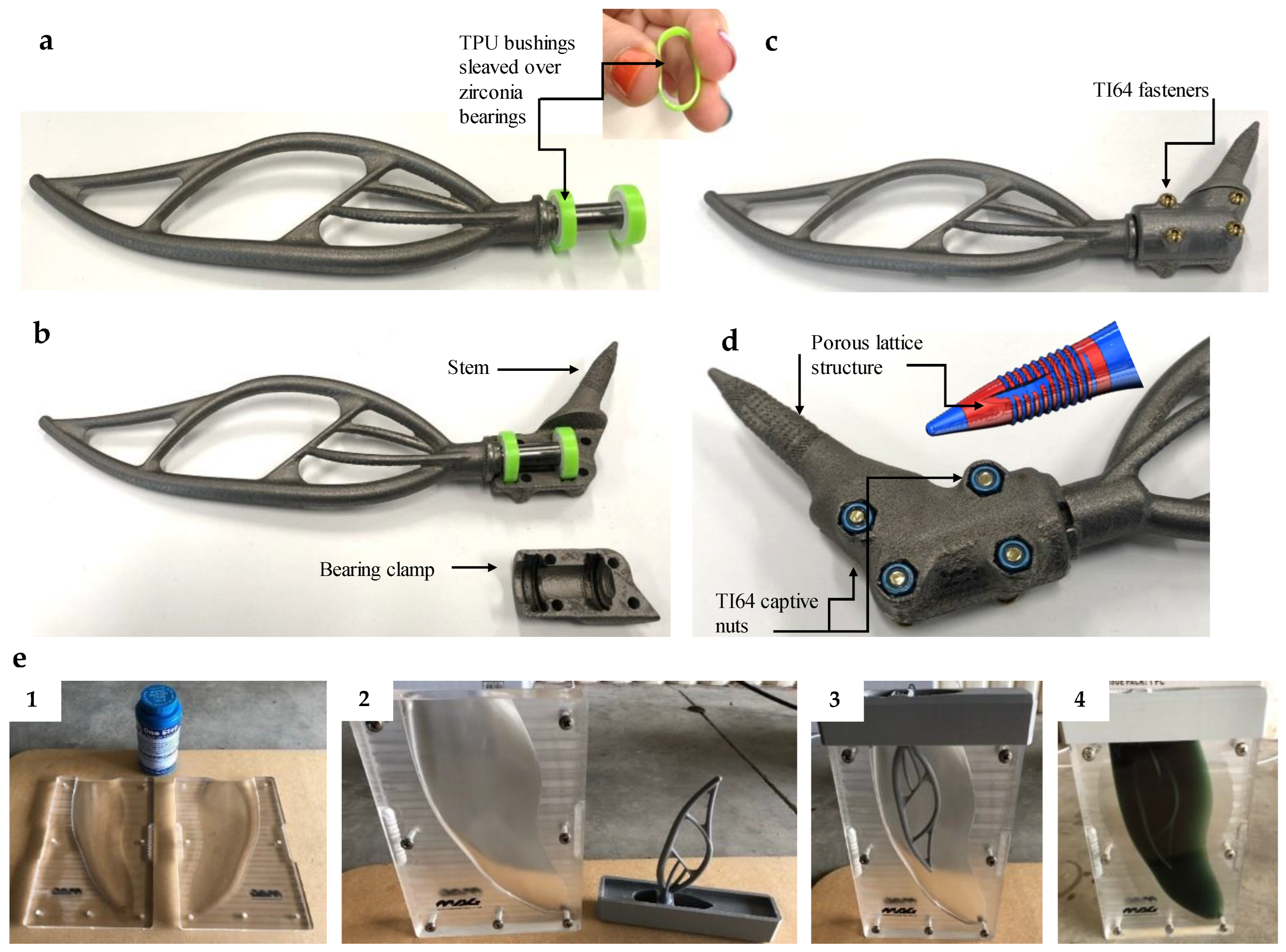Biomechanics 03 00033 g004