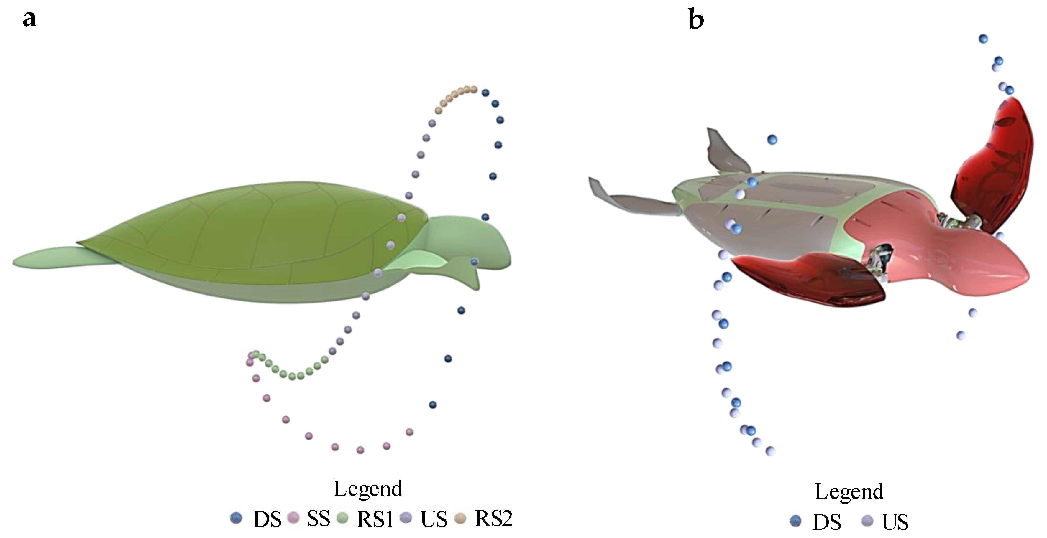 Biomechanics 03 00033 g005