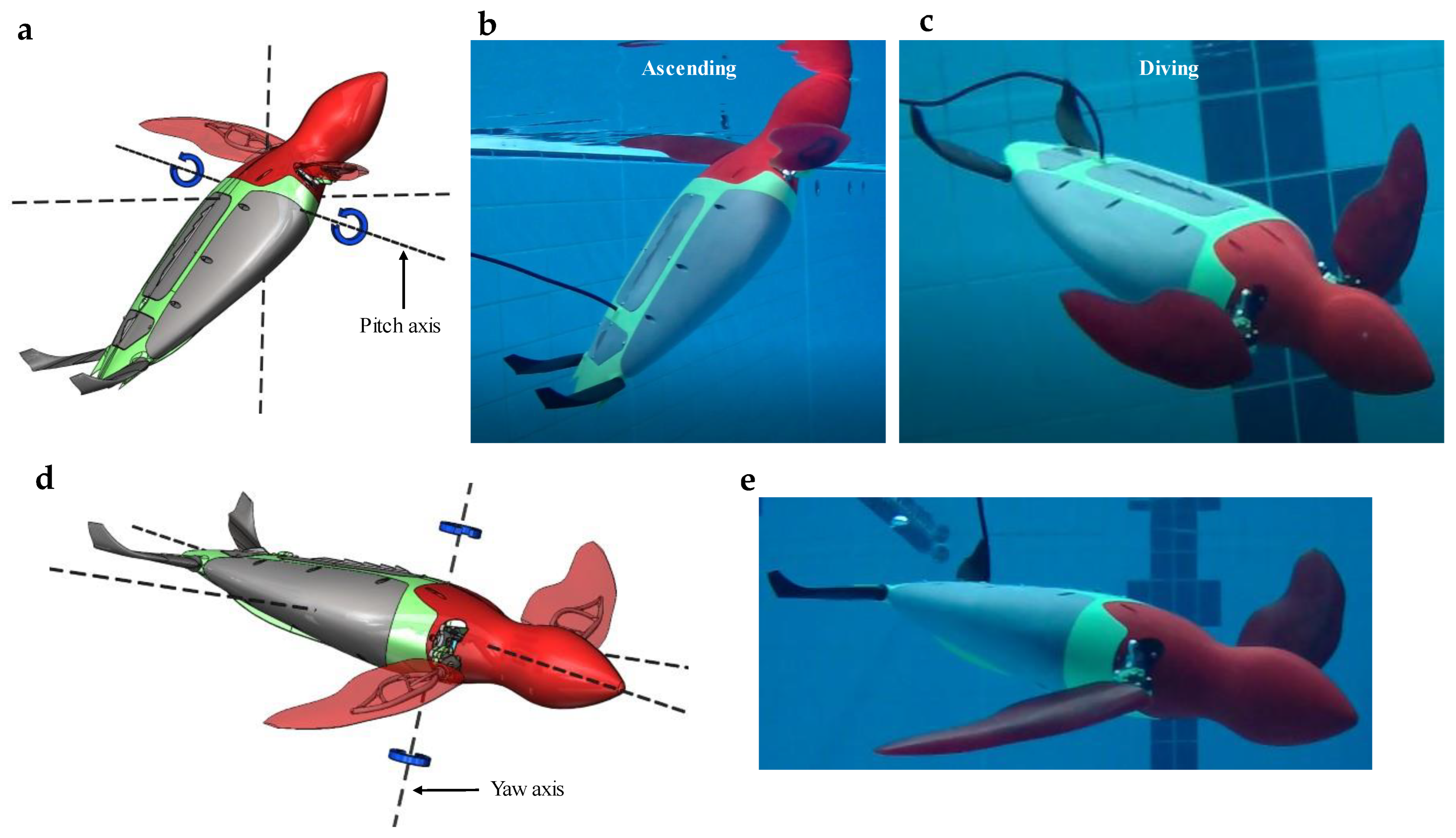 Biomechanics 03 00033 g009