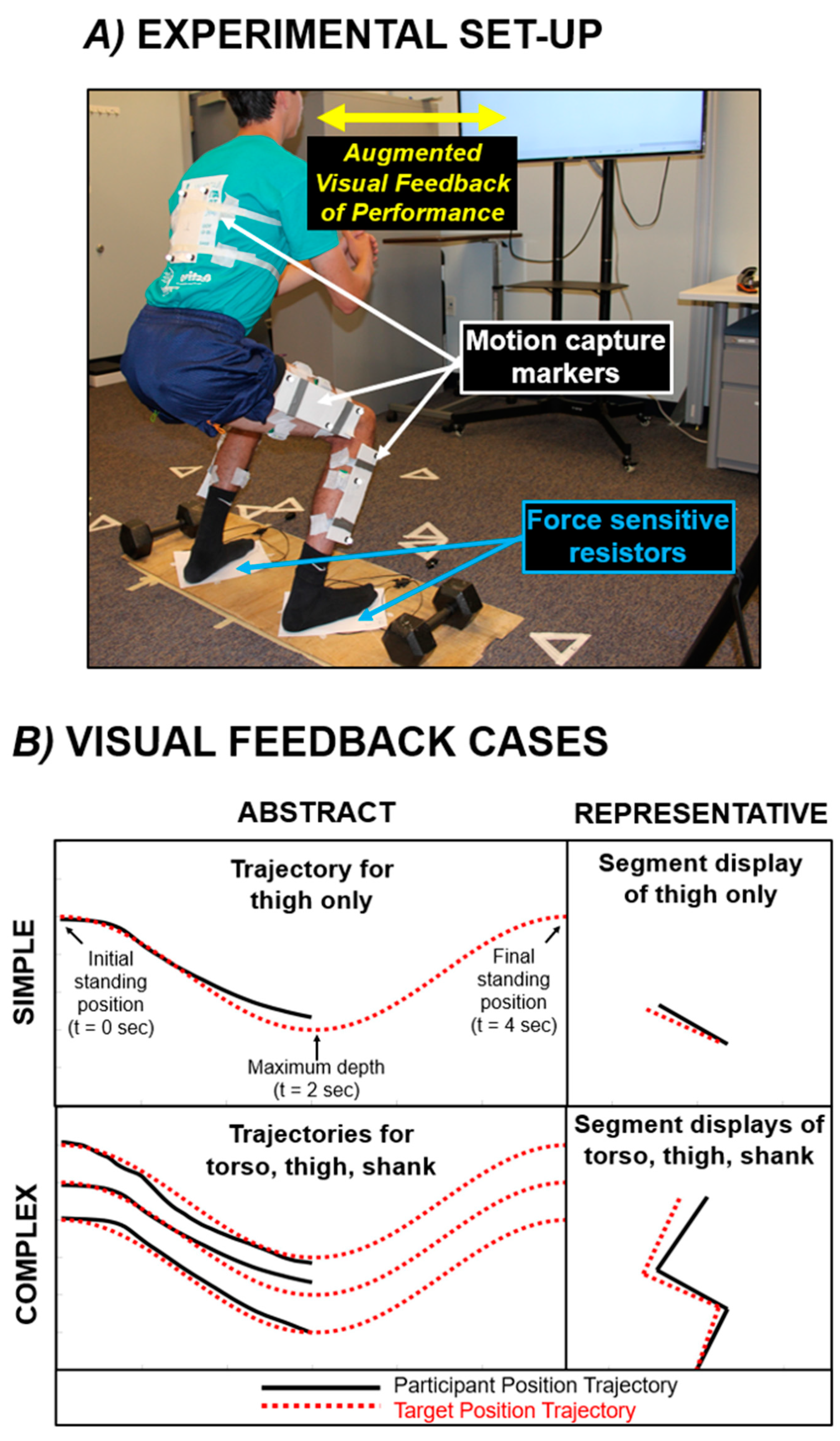 Biomechanics 03 00035 g001