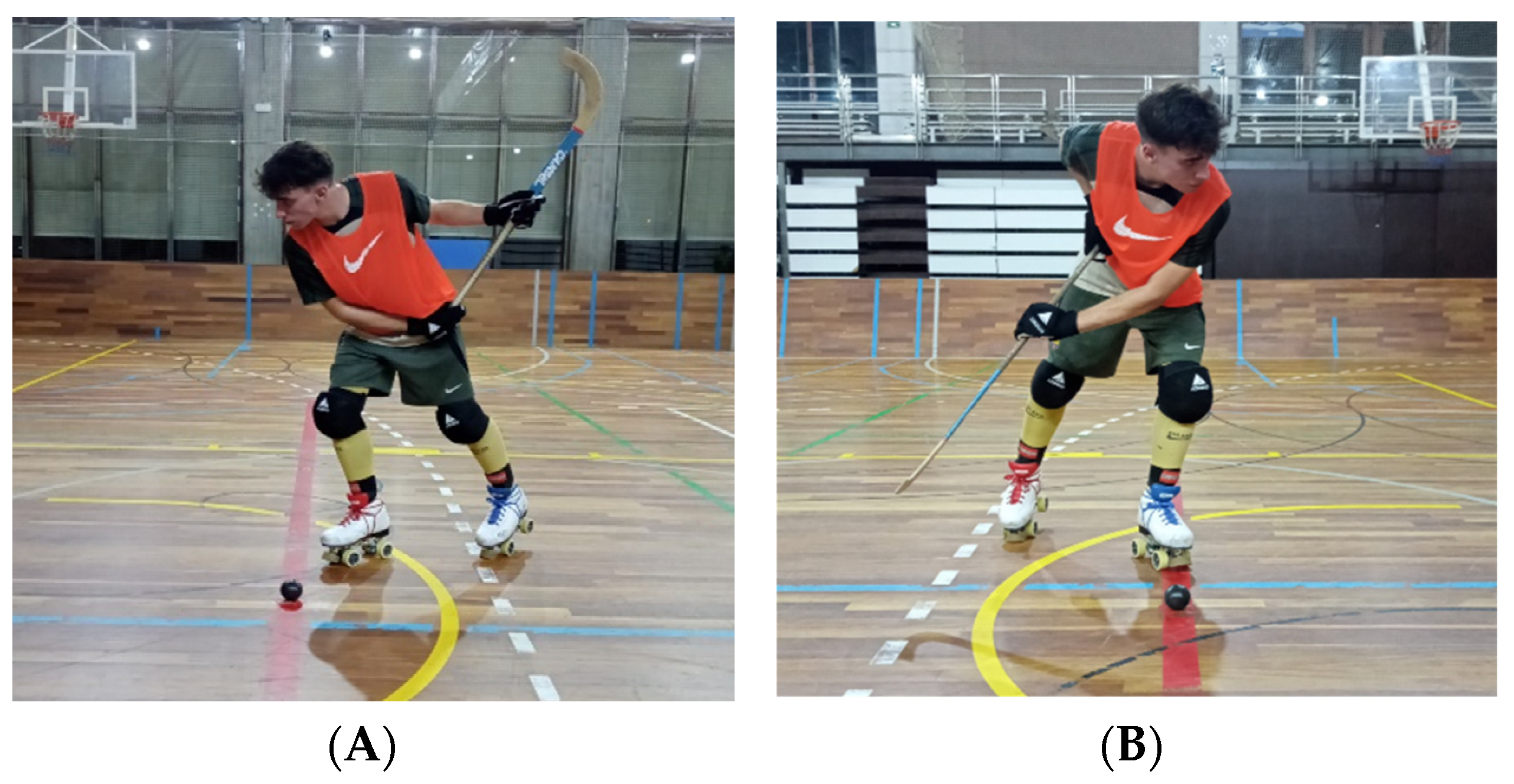 Biomechanics 03 00038 g001