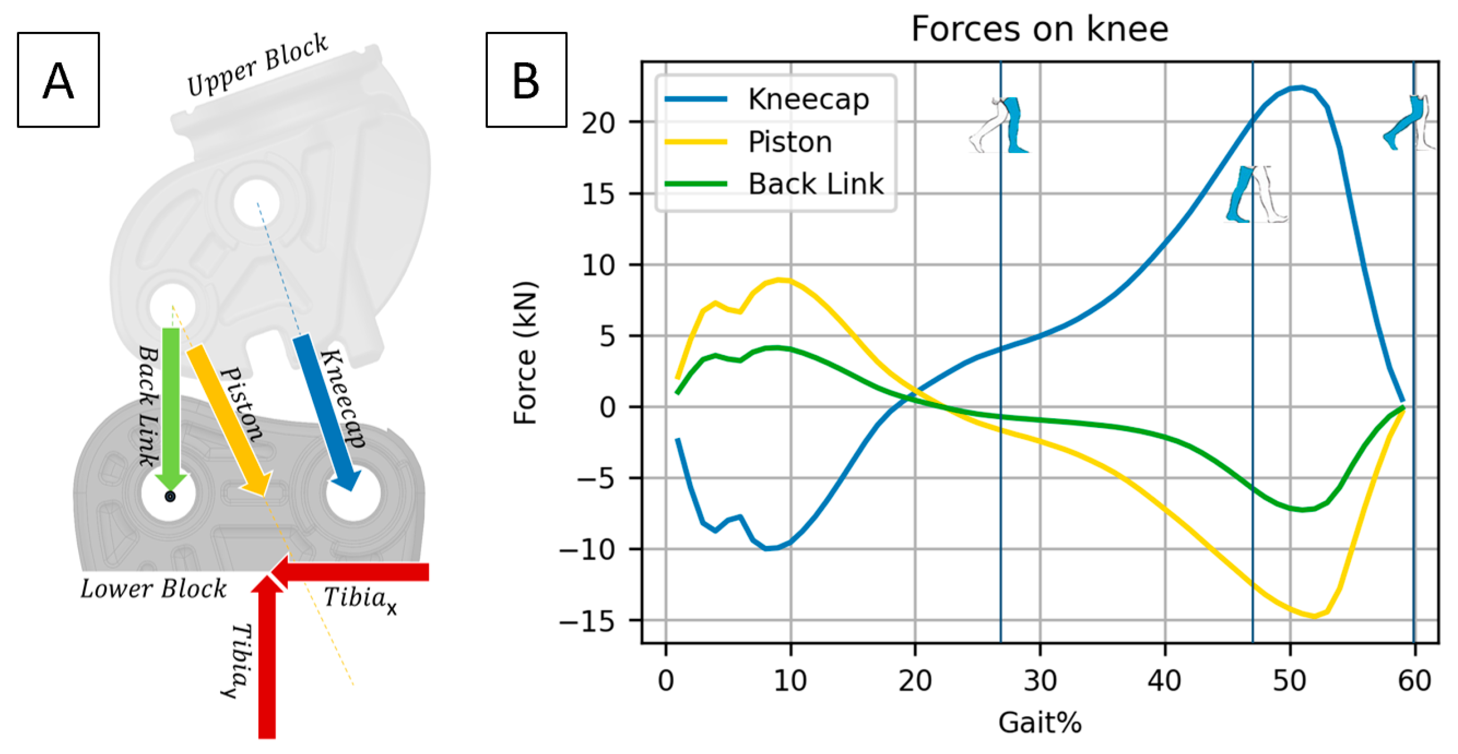Biomechanics 03 00040 g009
