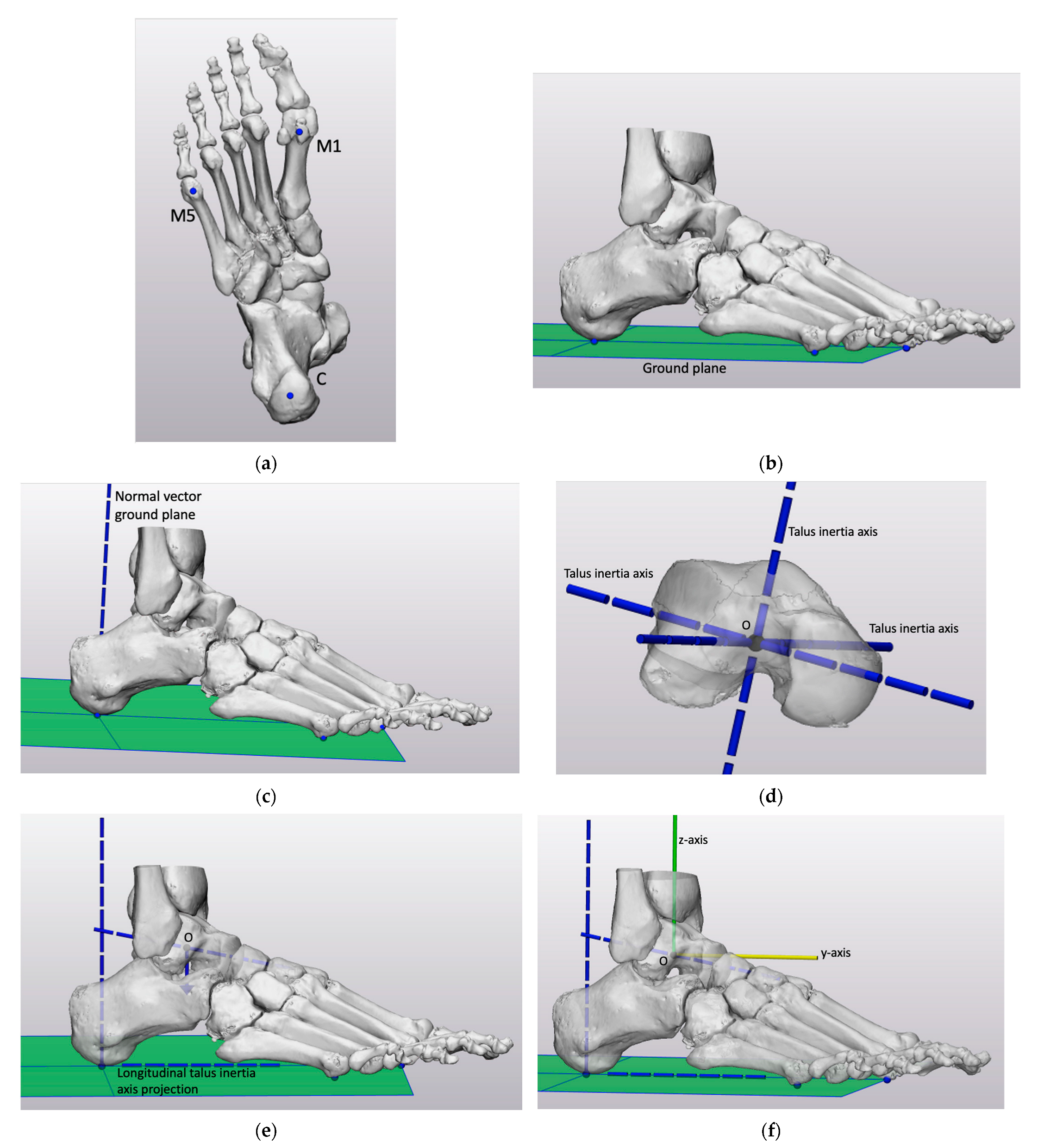 Biomechanics 03 00042 g004
