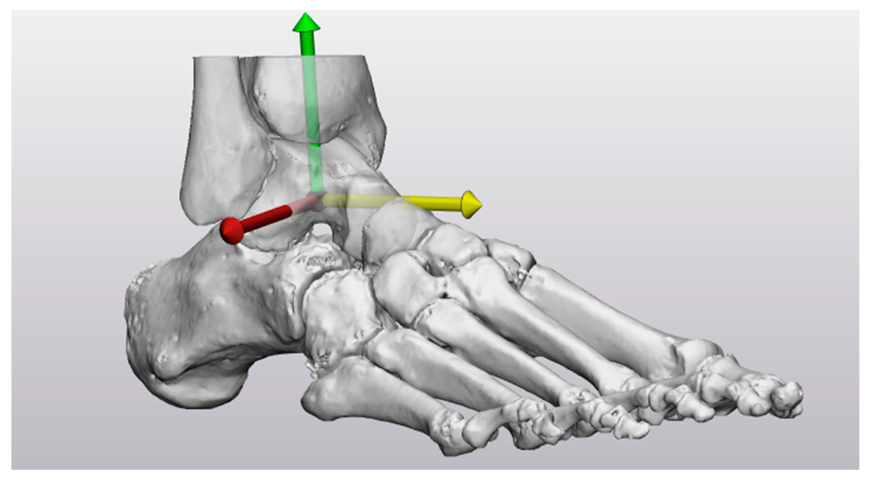 Biomechanics 03 00042 g005