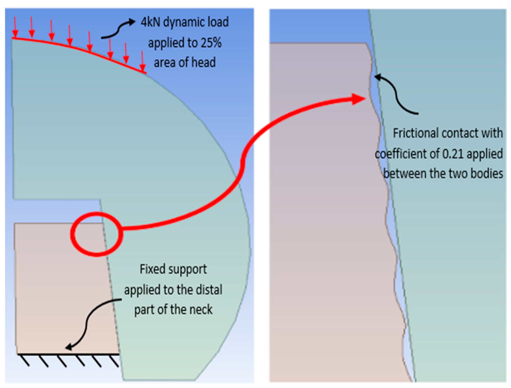 Biomechanics 03 00048 g001