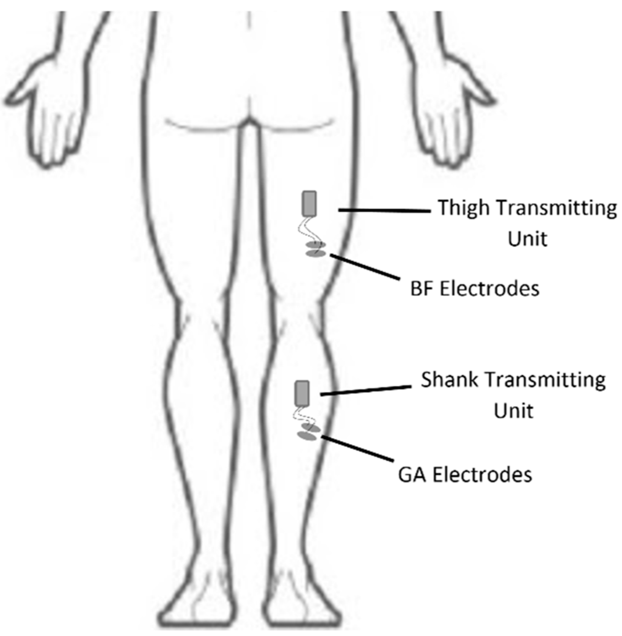 Biomechanics 04 00007 g002