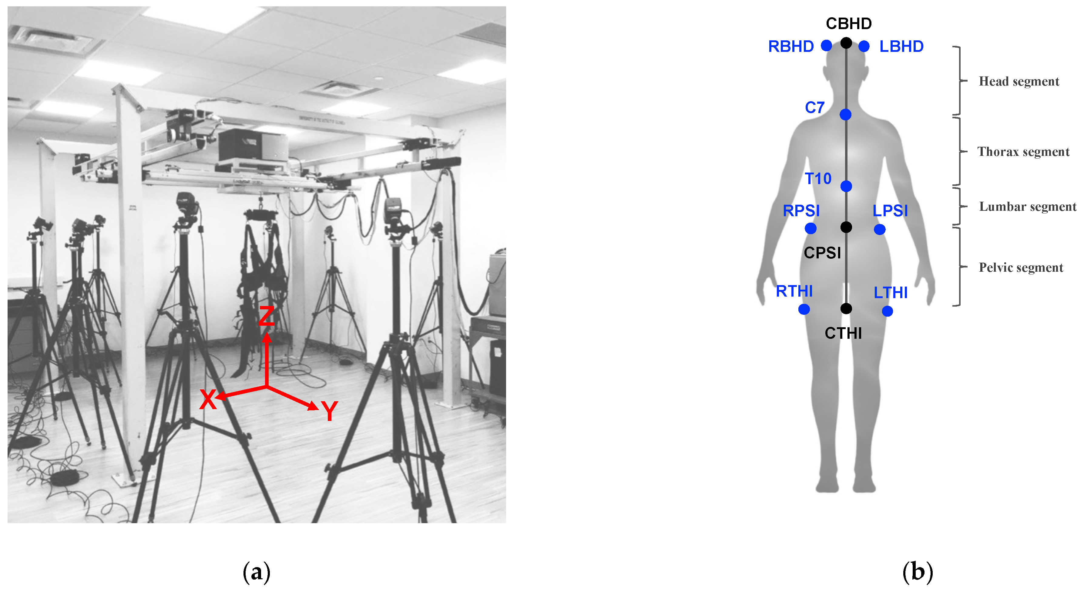 Biomechanics 04 00010 g001