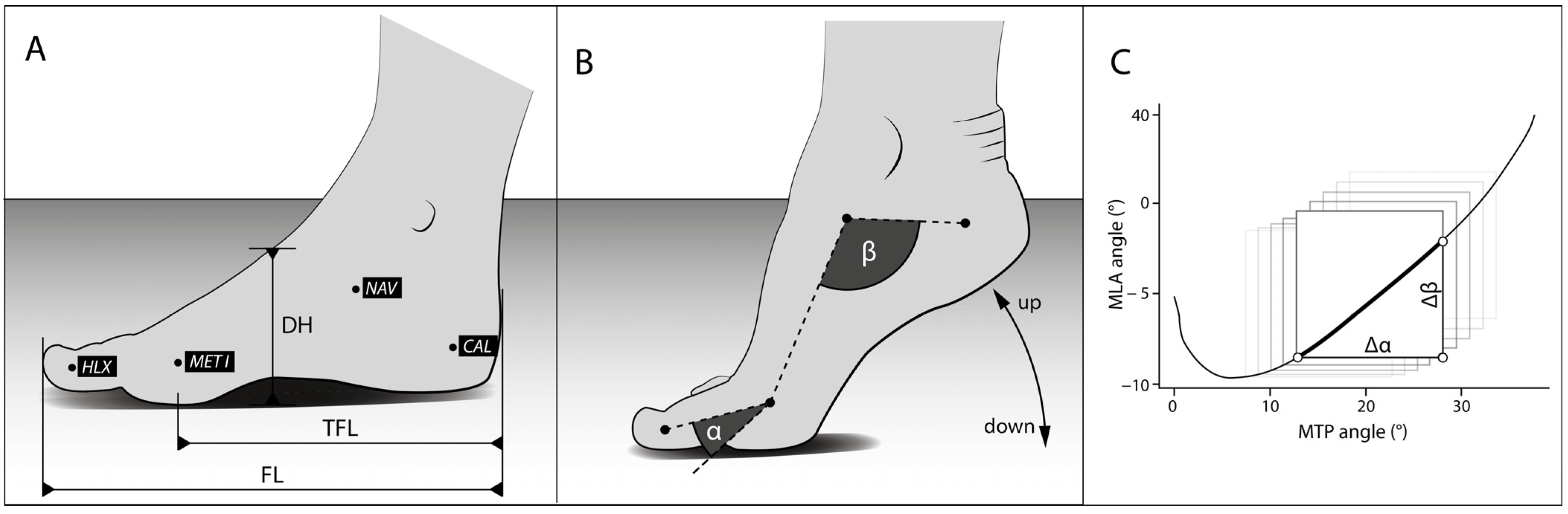 Biomechanics 04 00013 g001