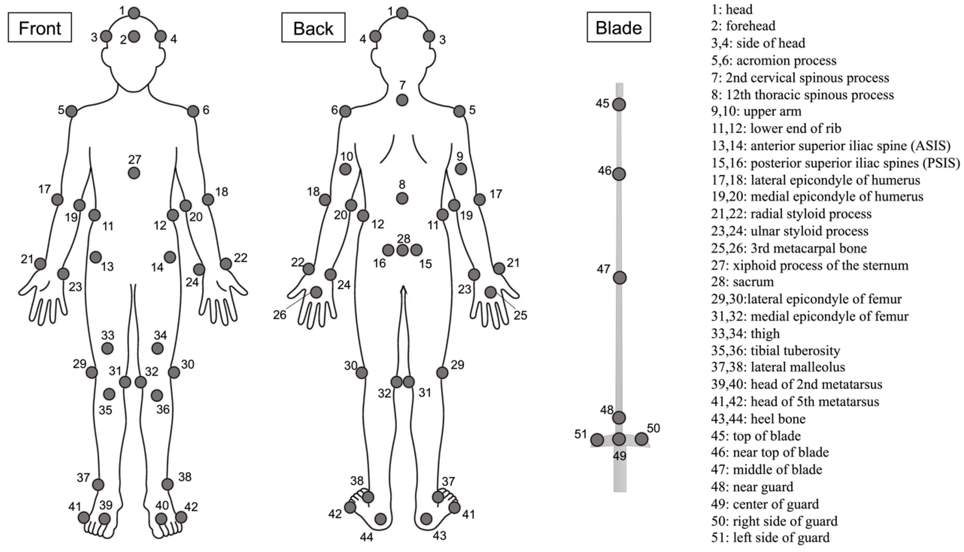 Biomechanics 04 00020 g001
