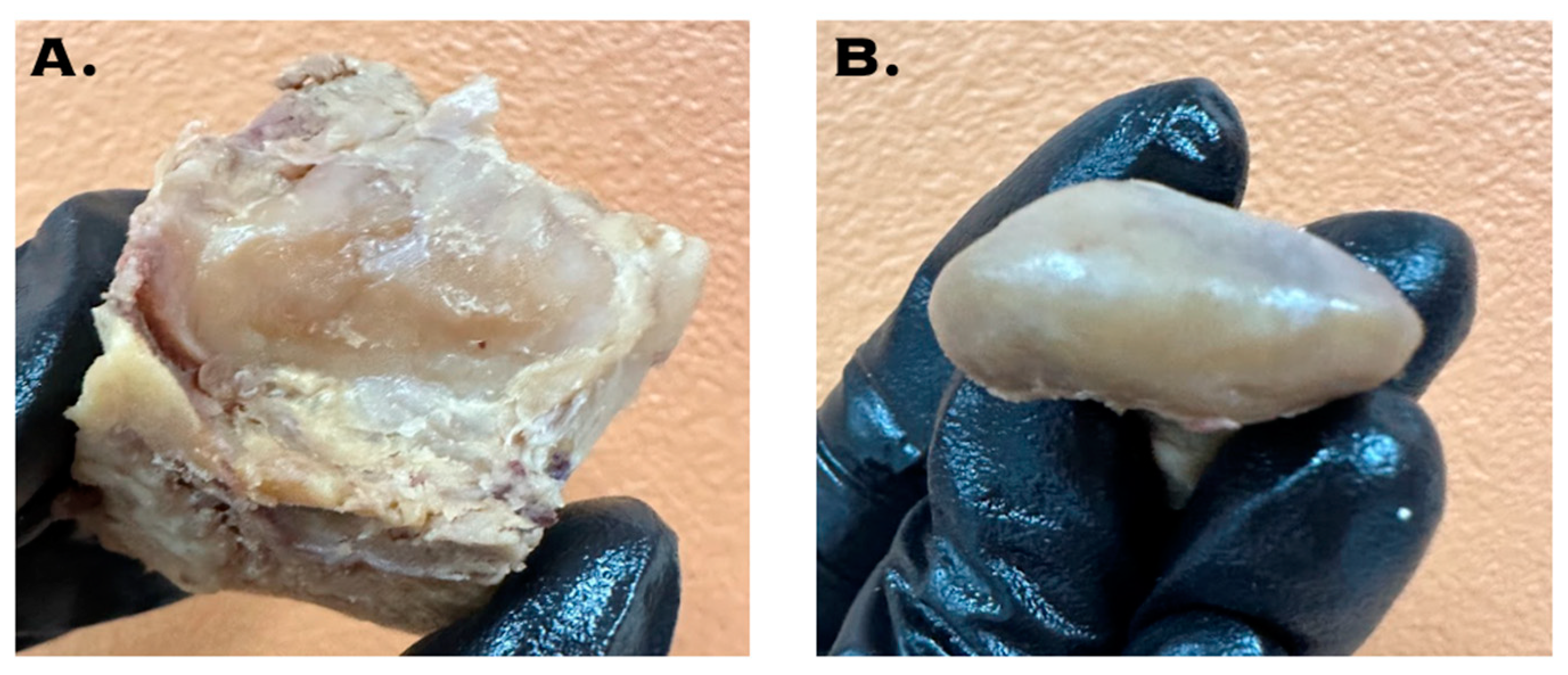 Biomechanics 04 00026 g002