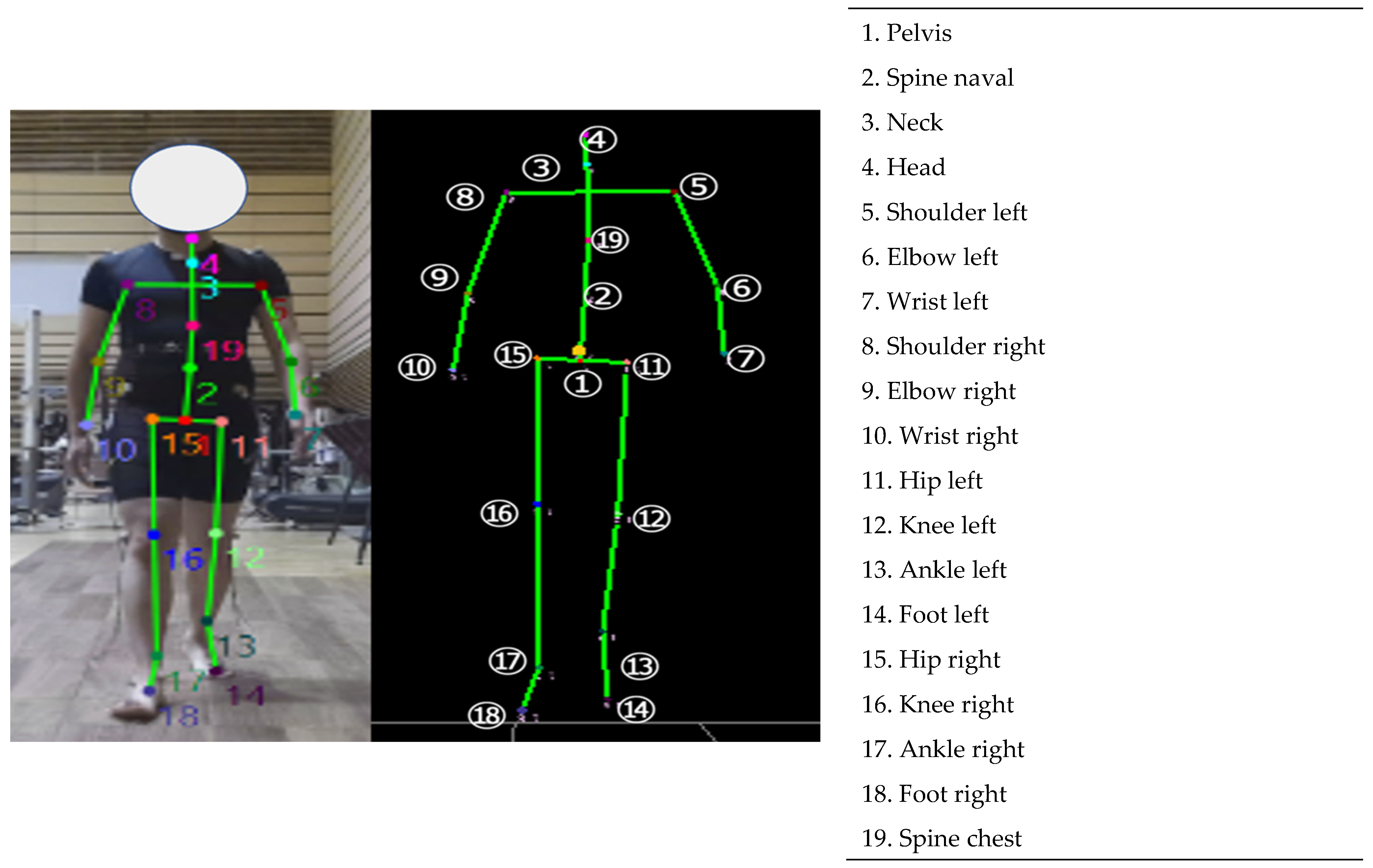 Biomechanics 04 00028 g002