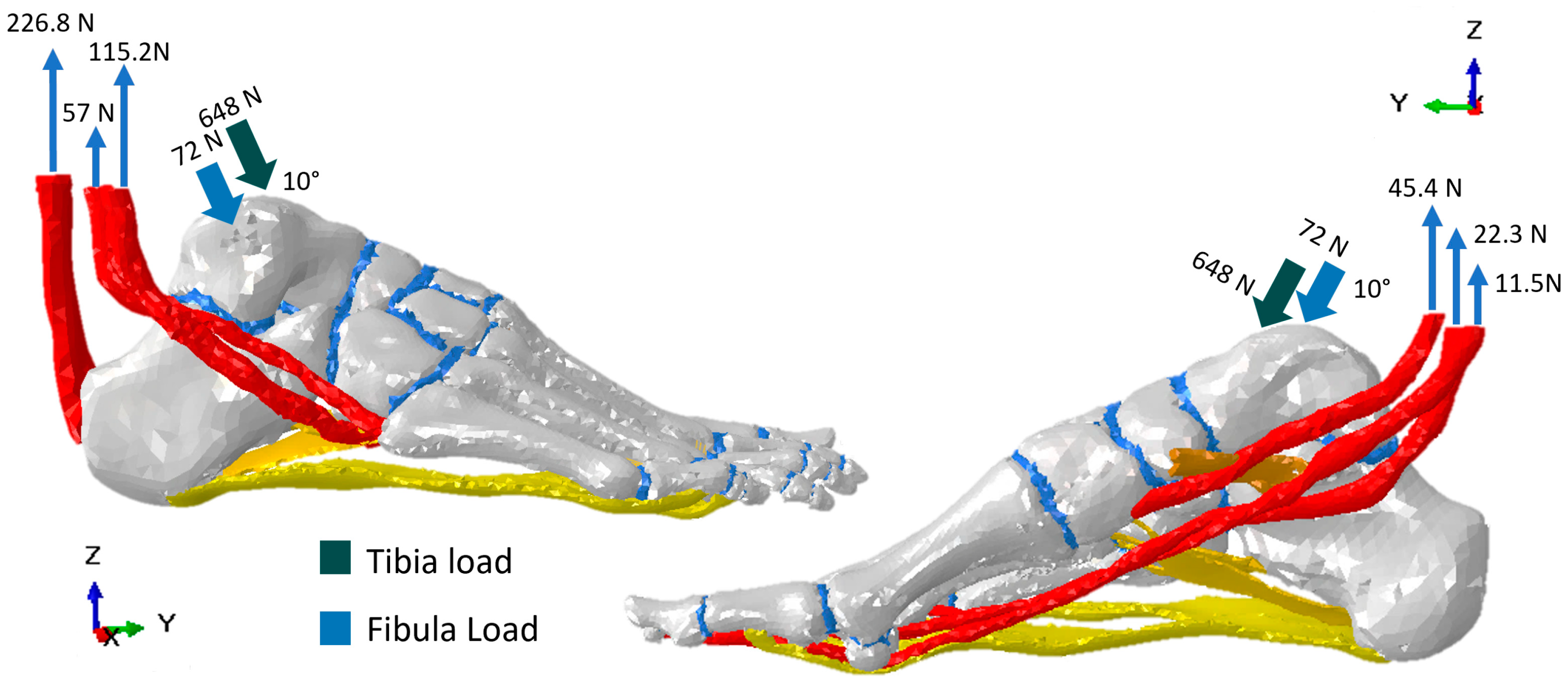 Biomechanics 04 00035 g002
