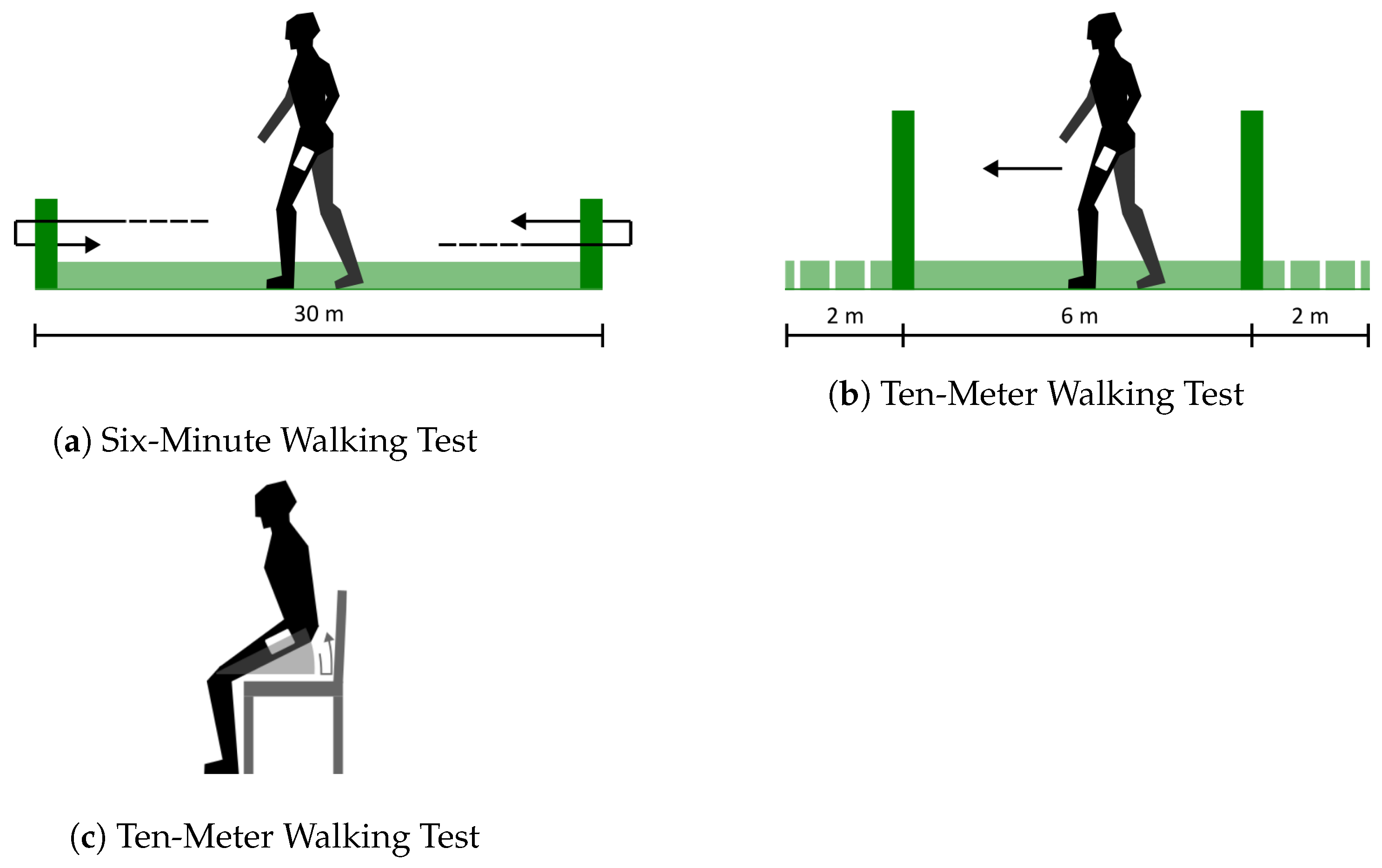 Biomechanics 04 00037 g001