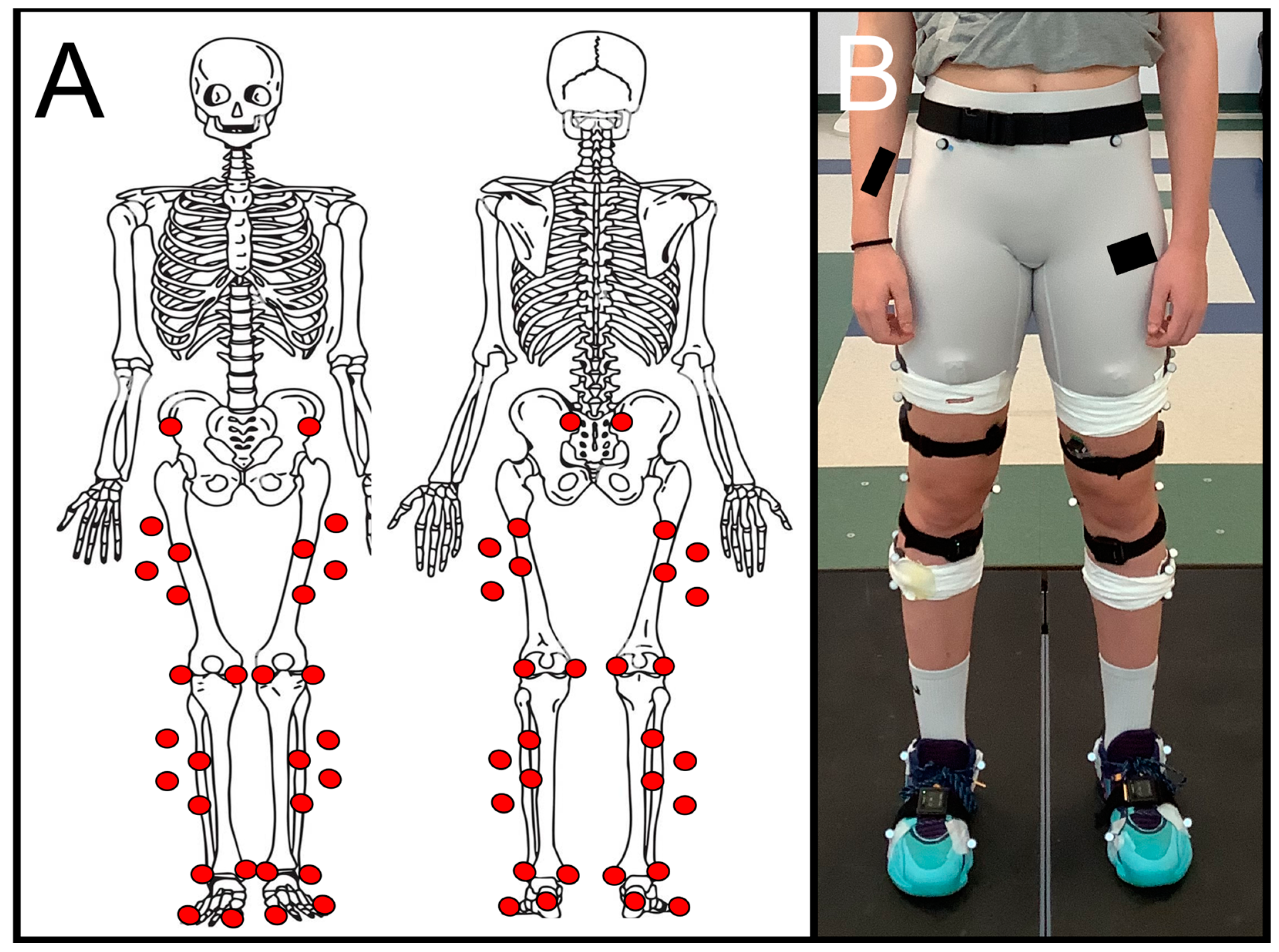 Biomechanics 04 00055 g002