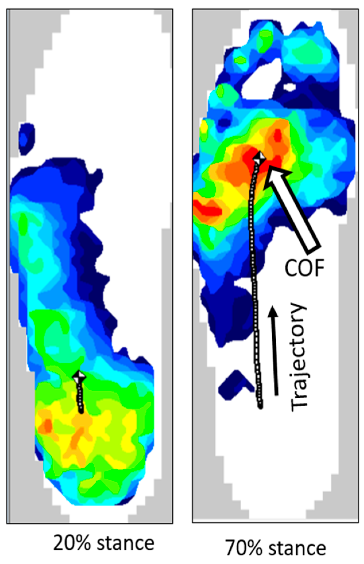 Biomechanics 05 00007 g002