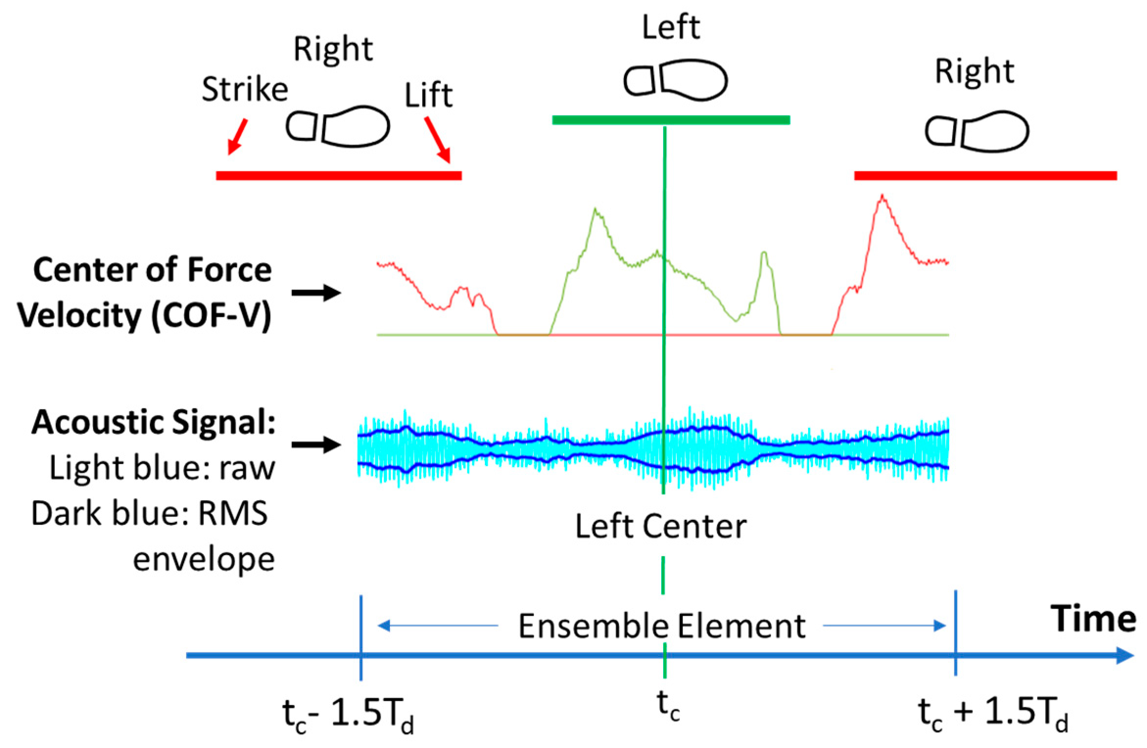 Biomechanics 05 00007 g003