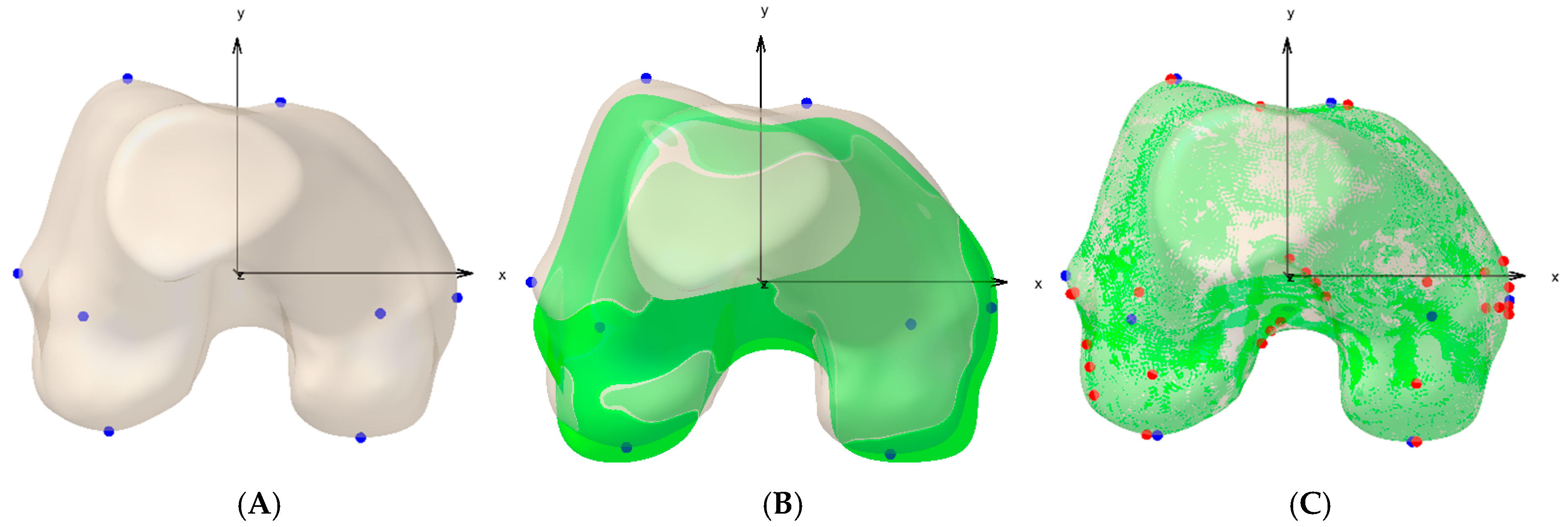 Biomechanics 05 00008 g002 Biomechanics 05 00008 g002