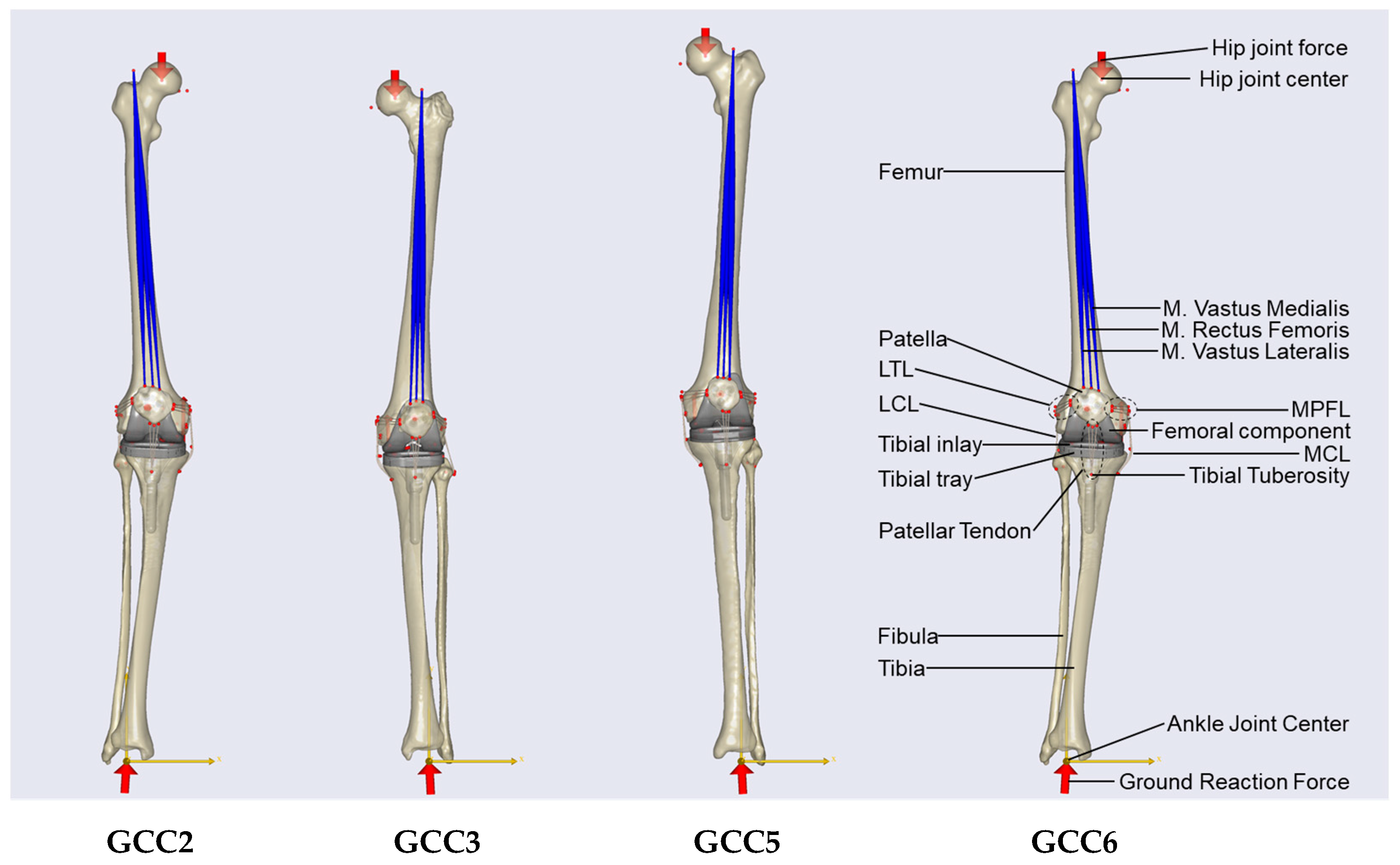 Biomechanics 05 00008 g003 Biomechanics 05 00008 g003