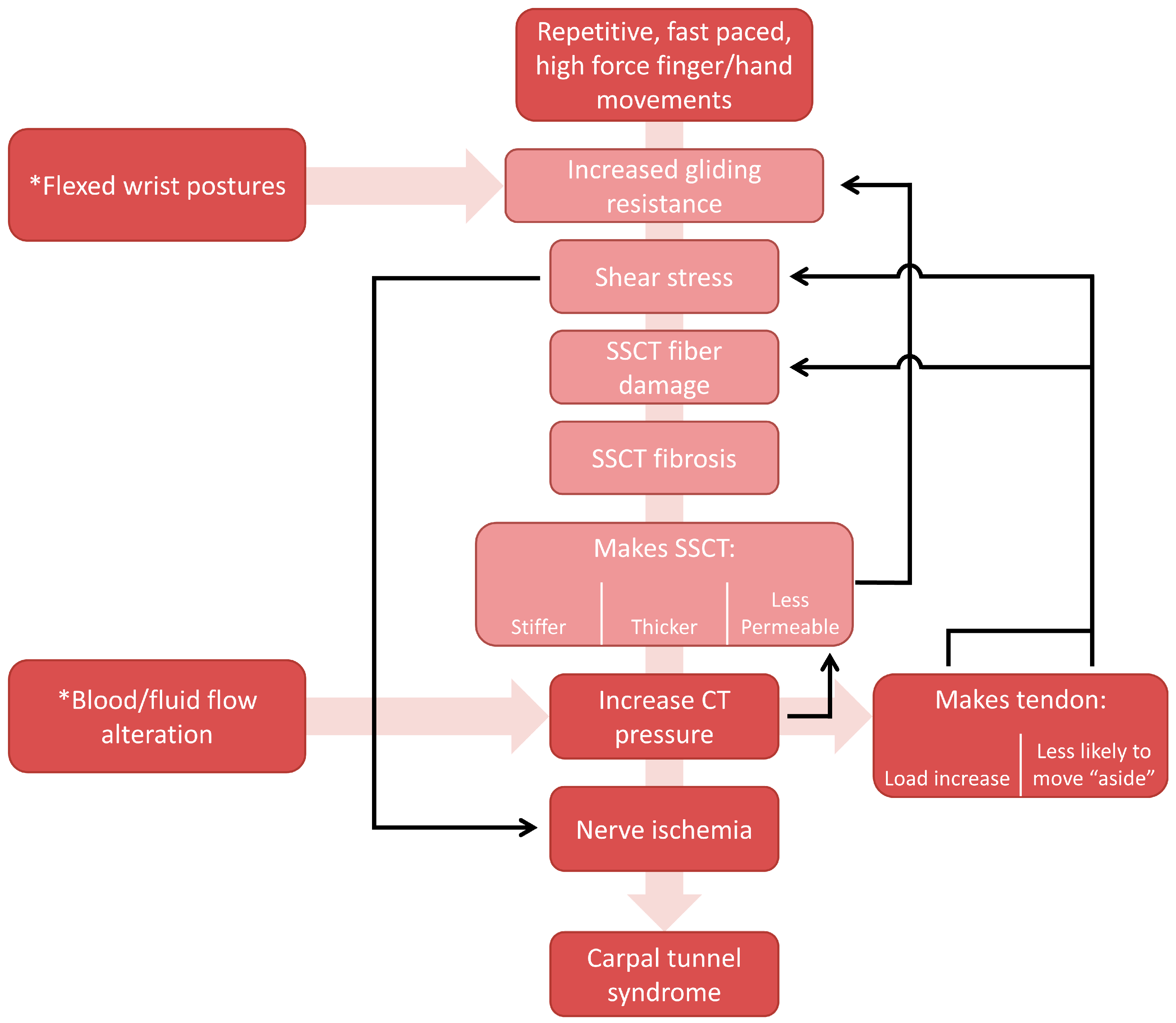 Biomechanics 05 00015 g008