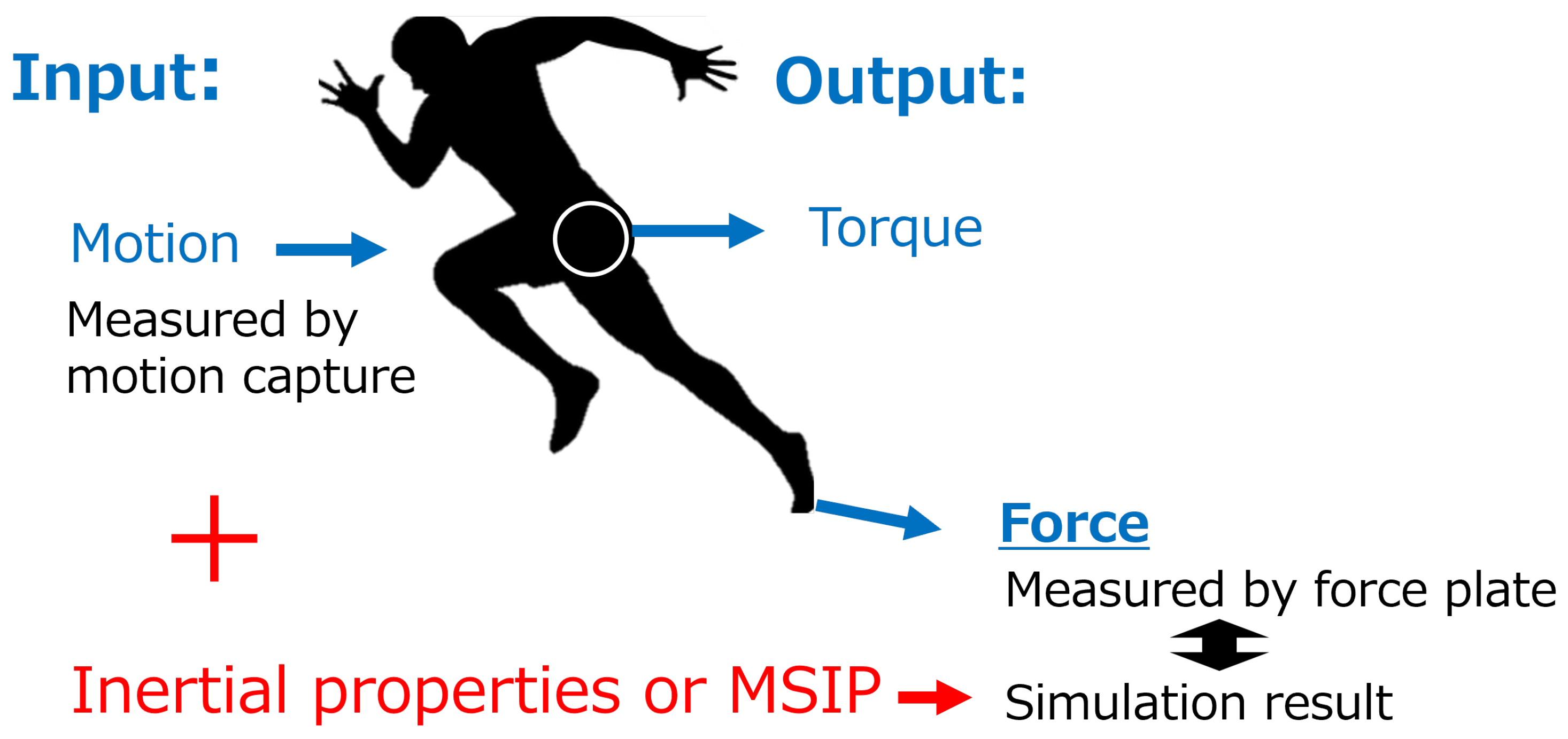 Biomechanics 05 00018 g001