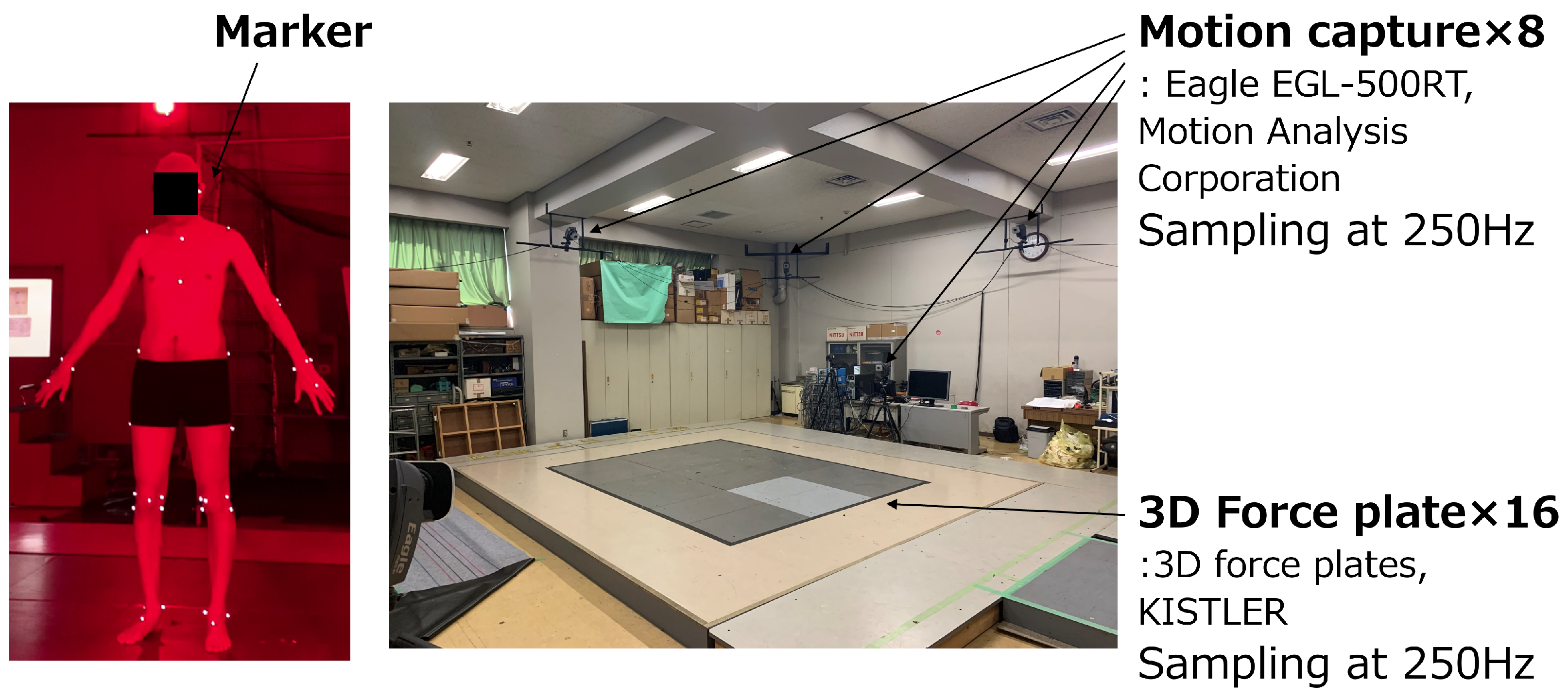 Biomechanics 05 00018 g002