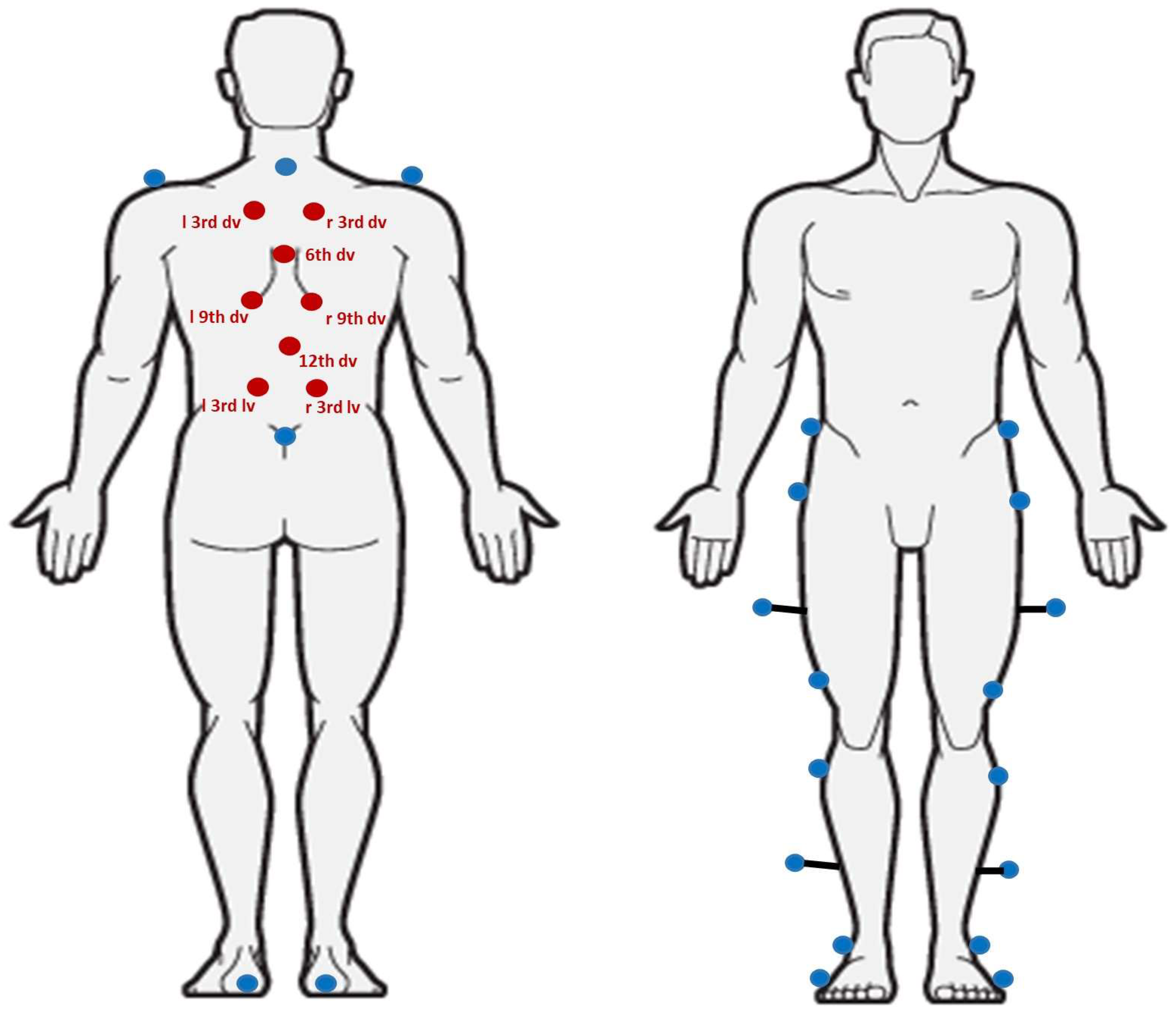 Biomechanics 05 00024 g001