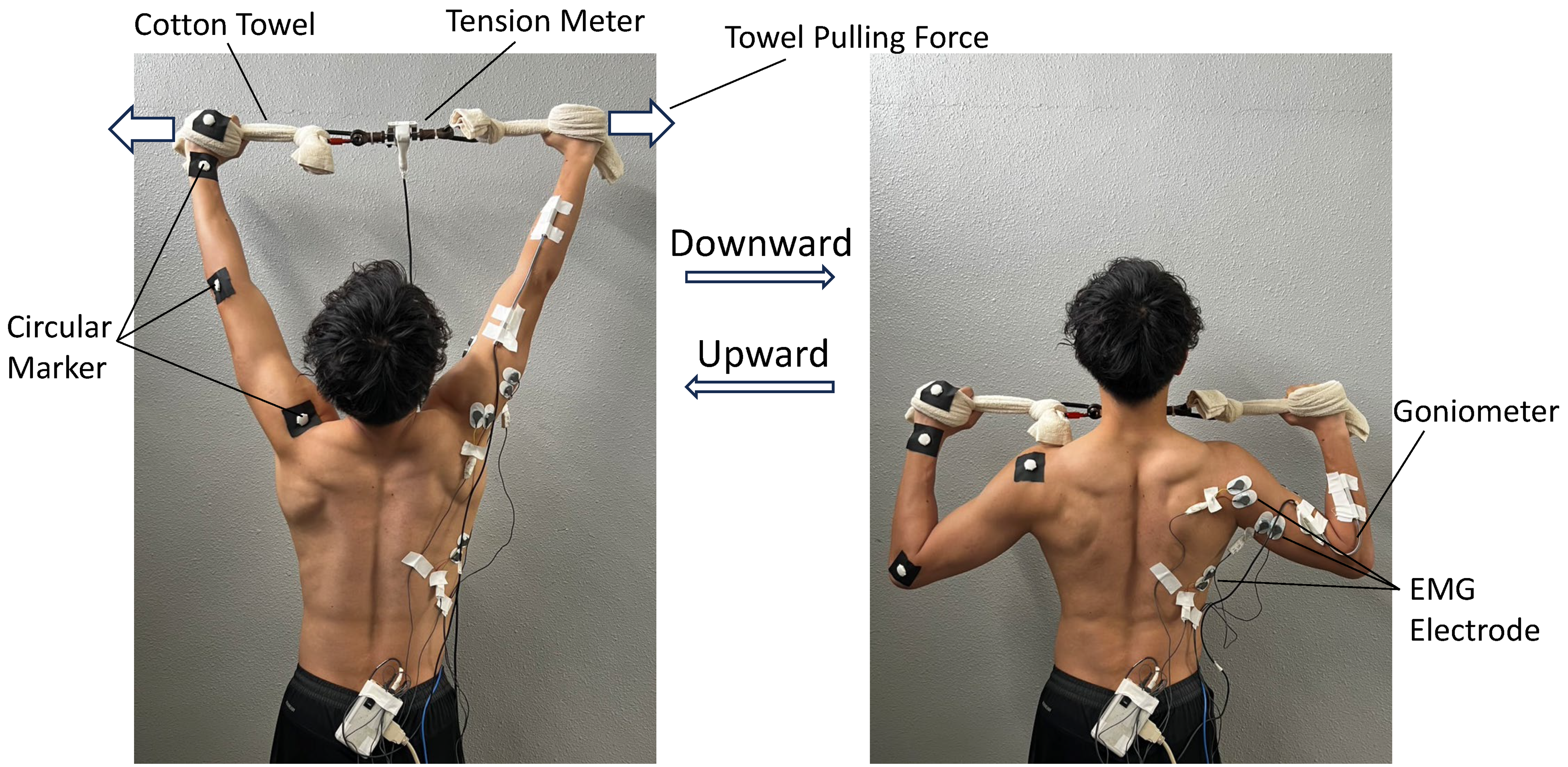 Biomechanics 05 00033 g001