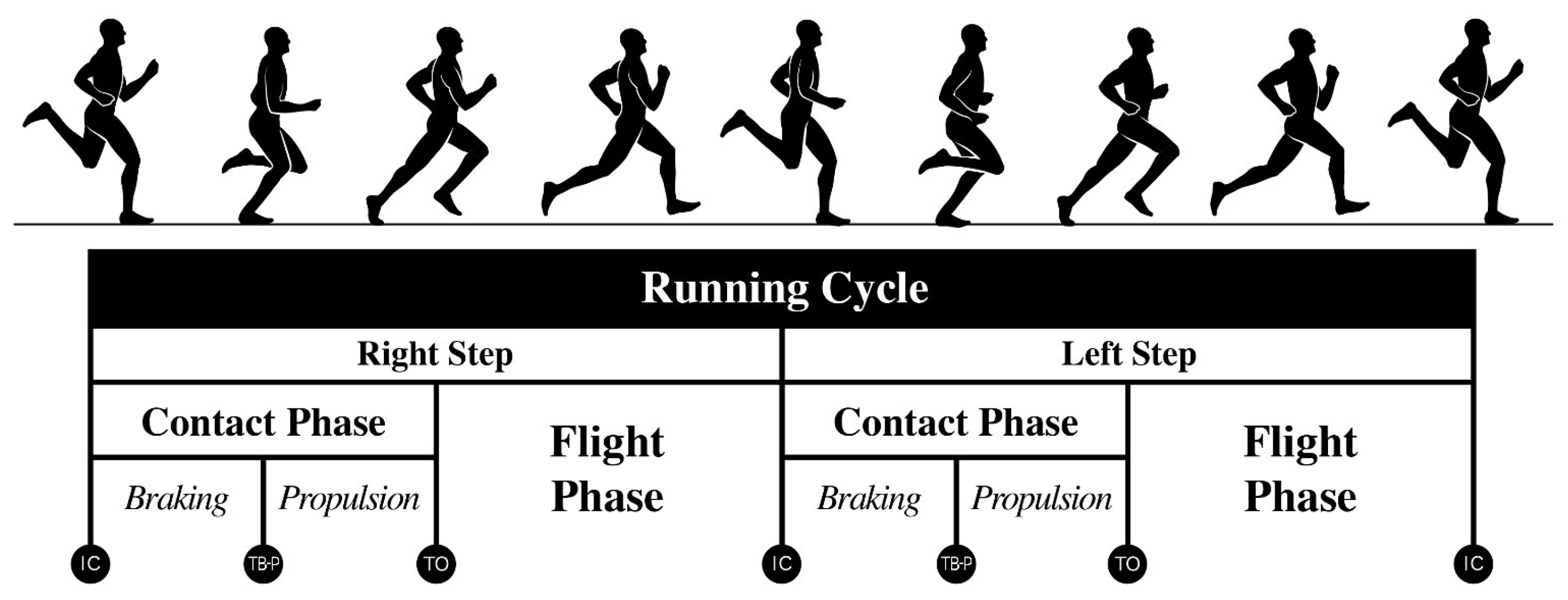 Running biomechanics and exercise… Running: Biomechanics and Exercise Physiology in Practice