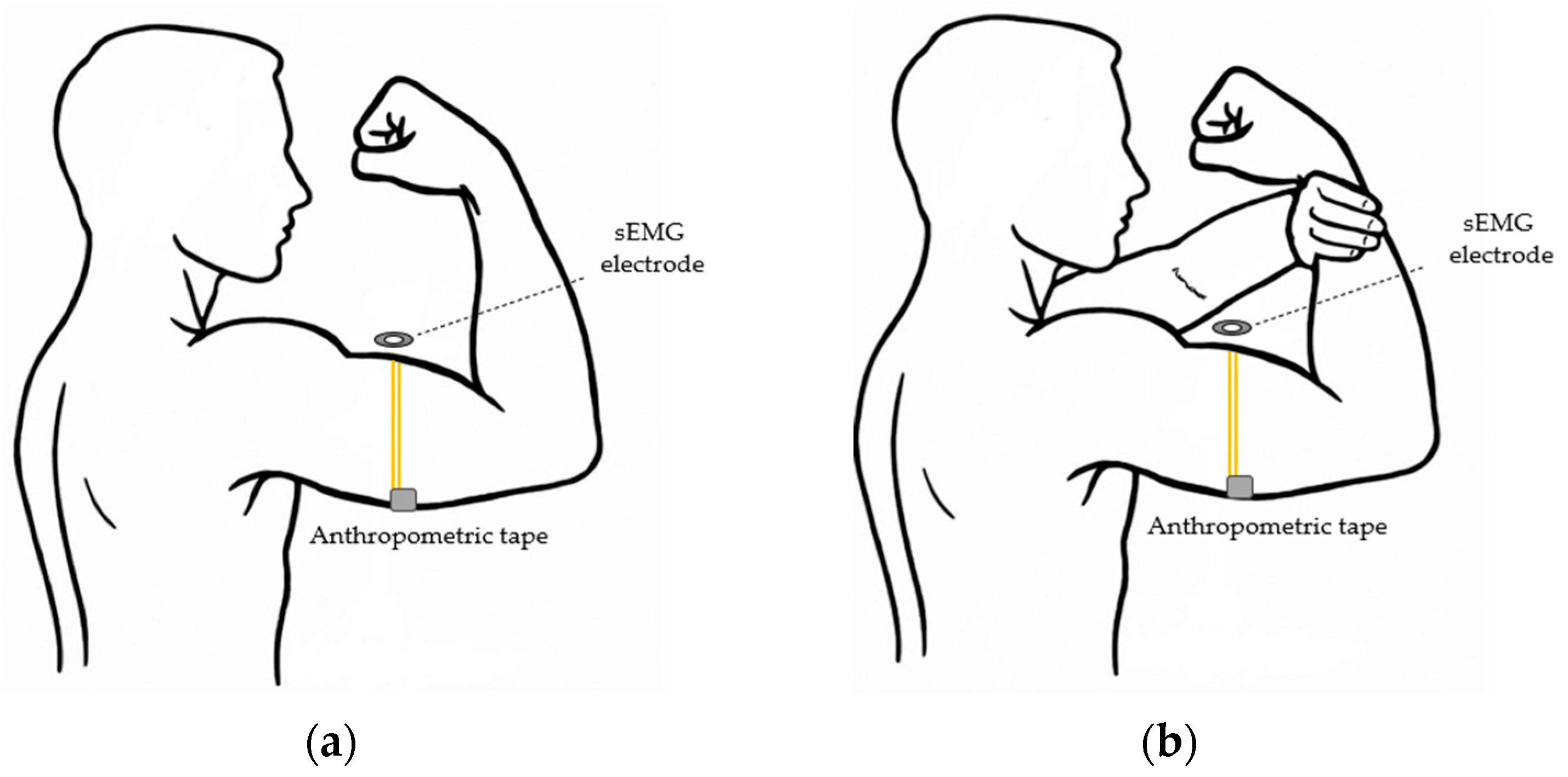 Biomechanics 05 00044 g001
