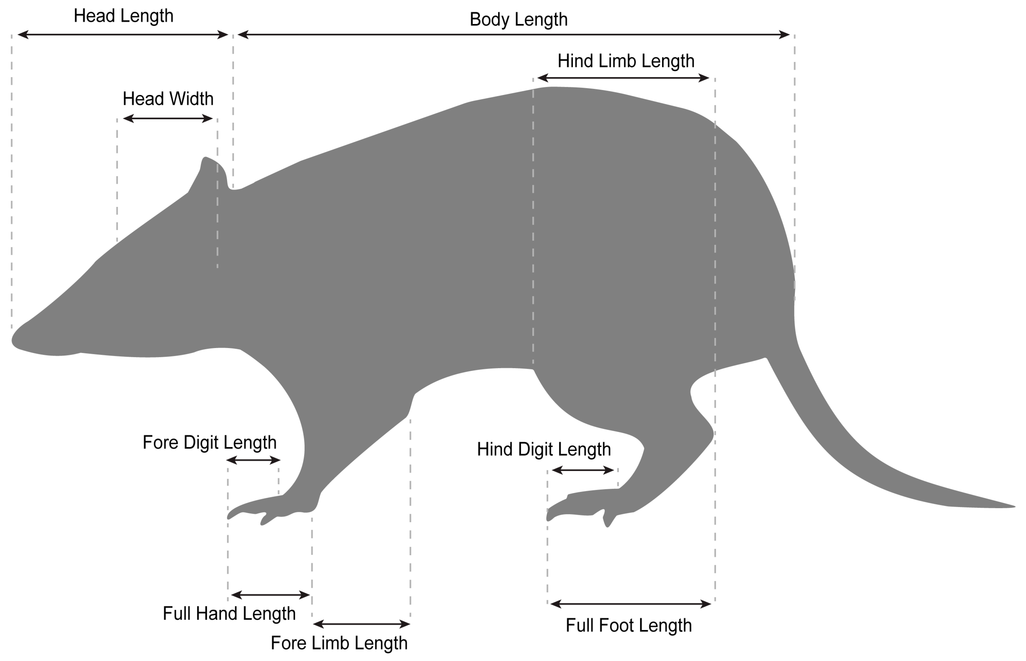 Biomechanics 05 00052 g001