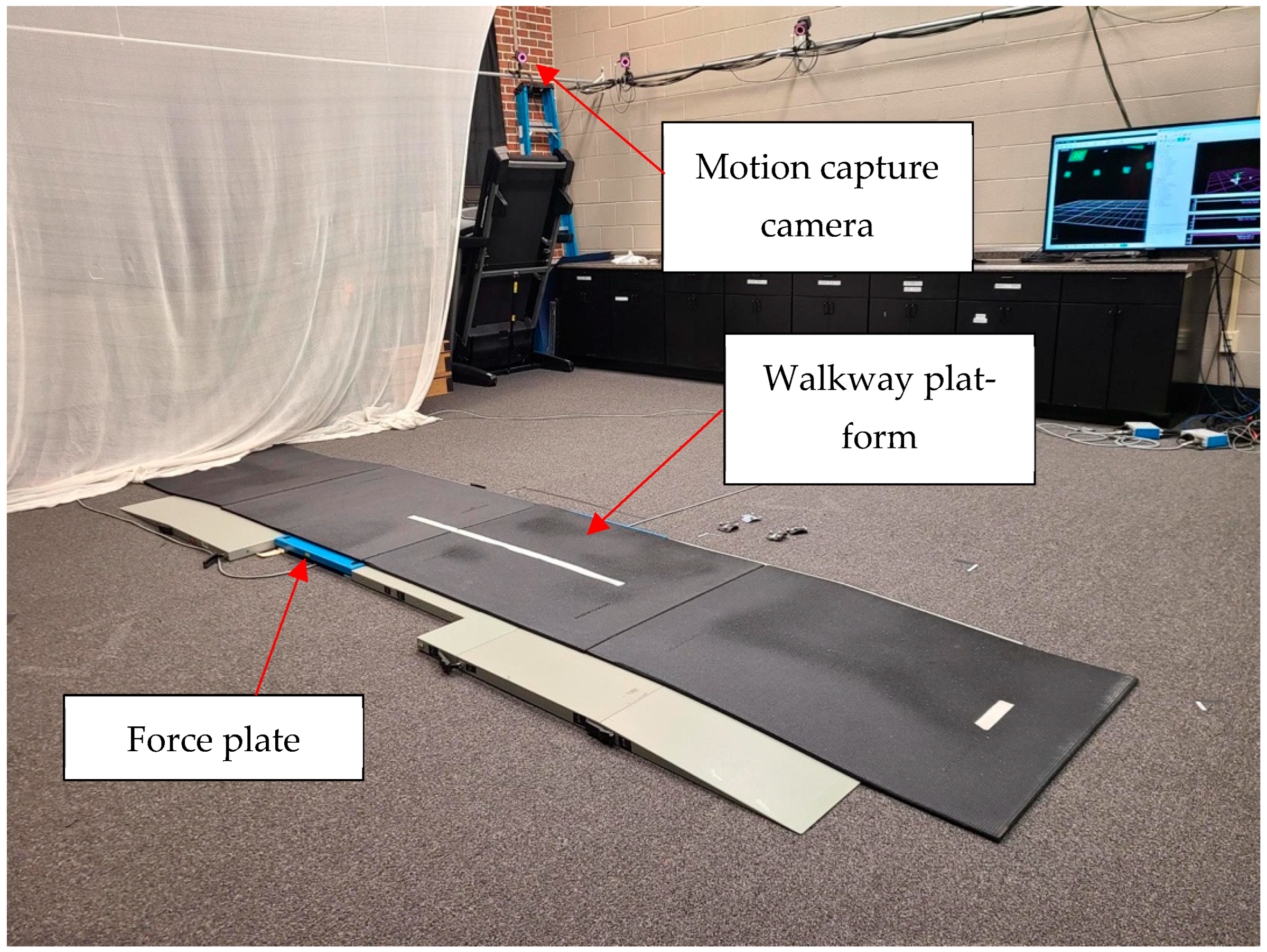 Biomechanics 05 00054 g002