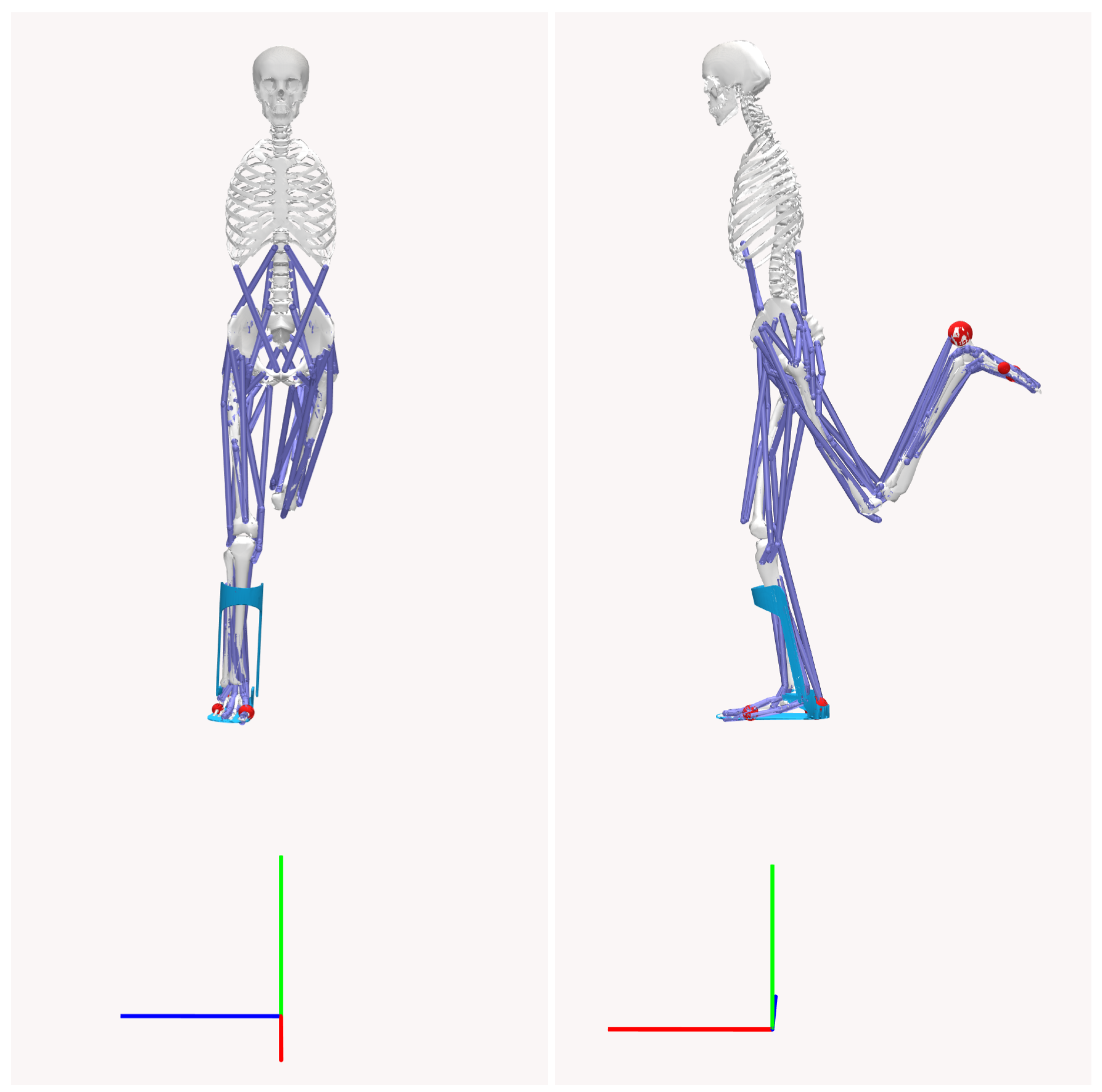Biomechanics 05 00055 g003