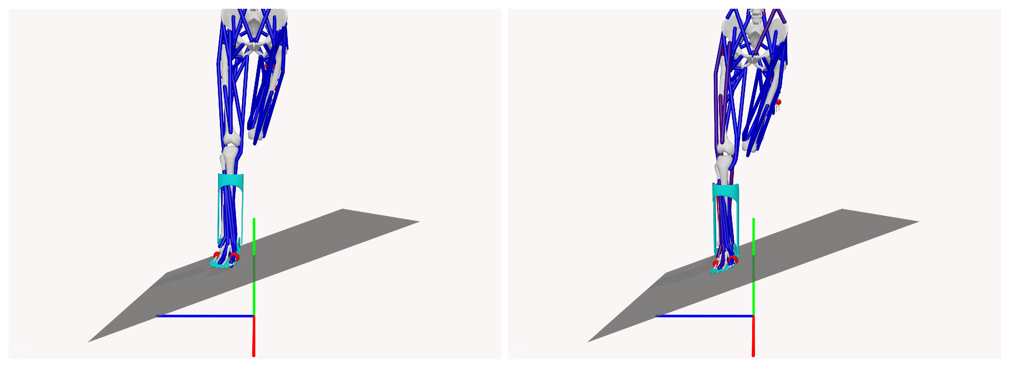 Biomechanics 05 00055 g005