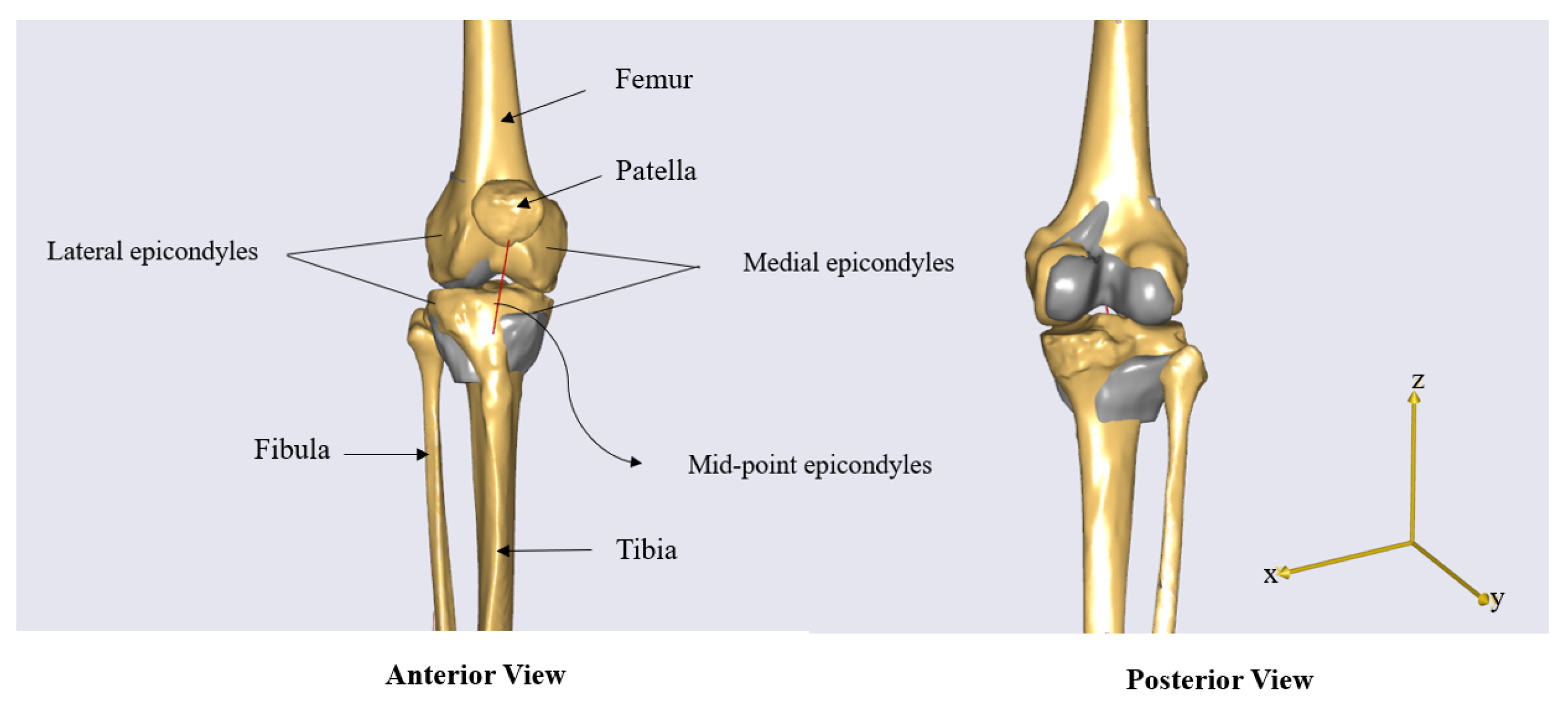 Biomechanics 05 00057 g004