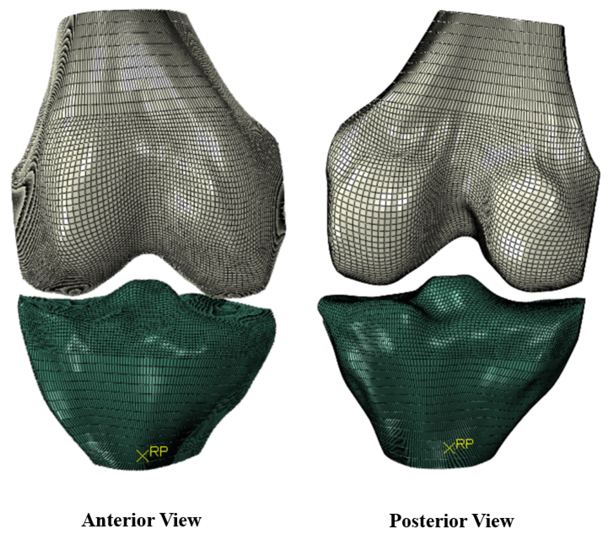 Biomechanics 05 00057 g005