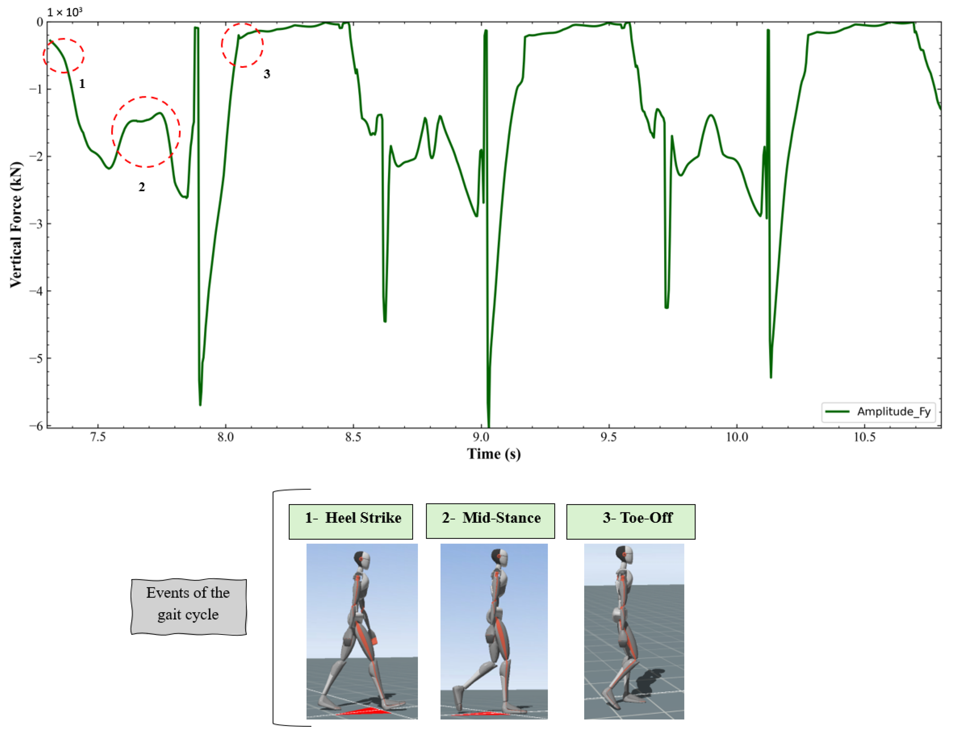 Biomechanics 05 00057 g006