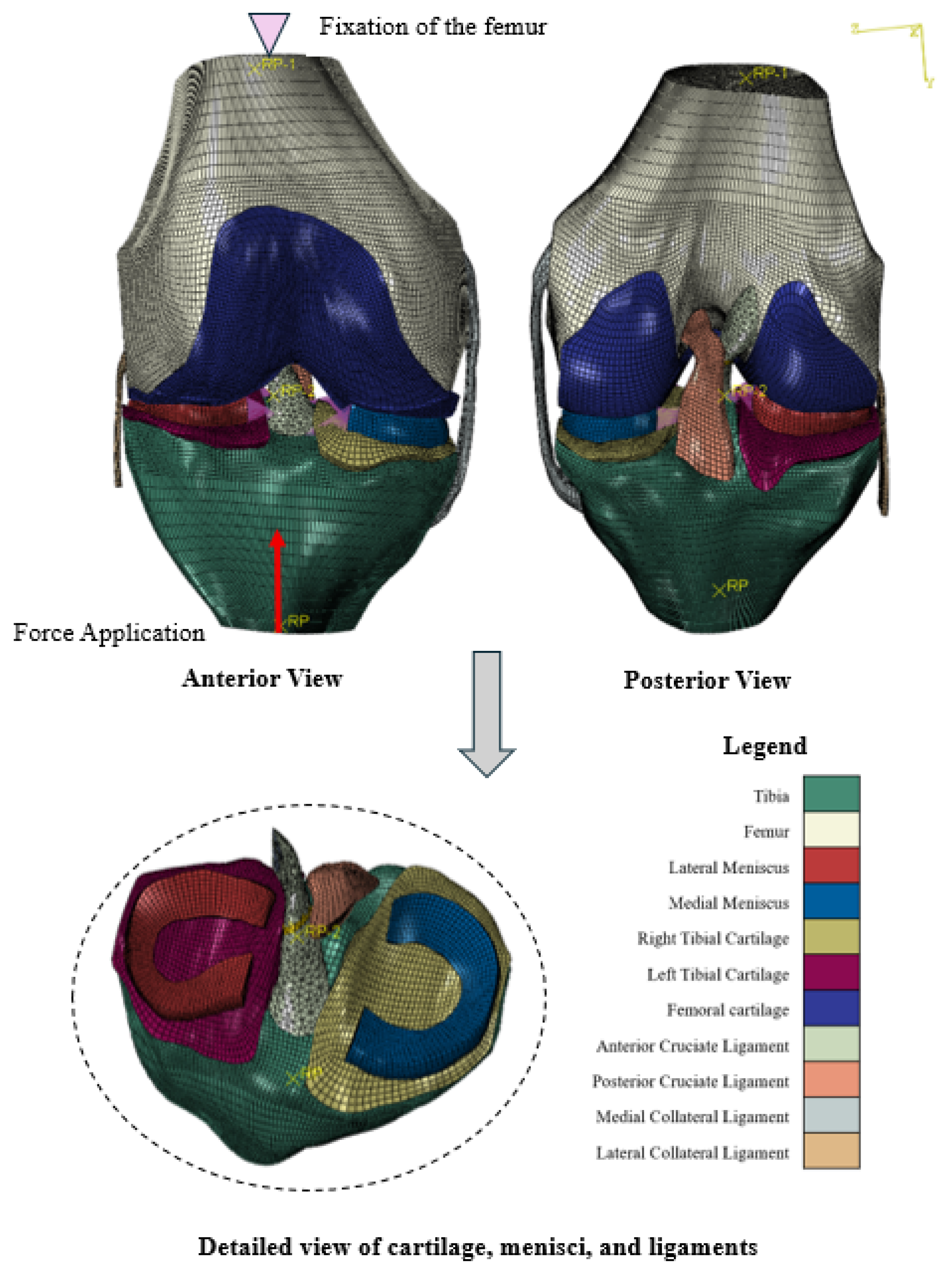 Biomechanics 05 00057 g007