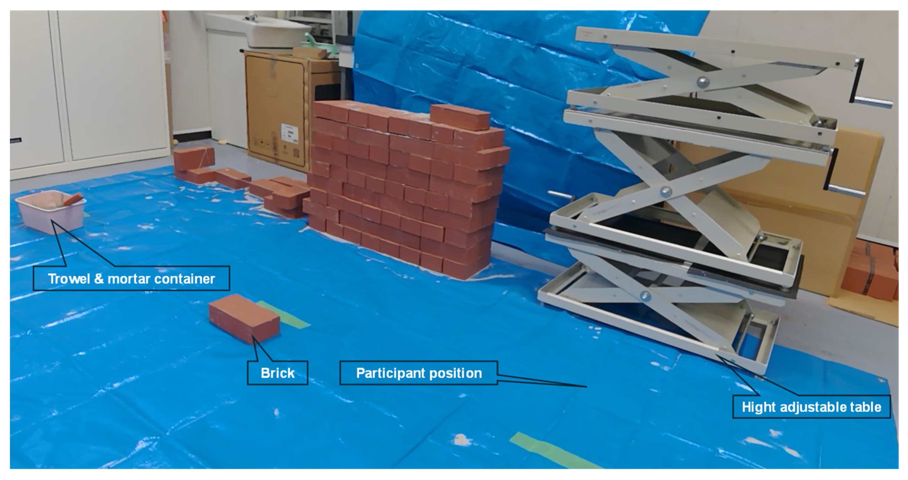Biomechanics 05 00058 g001