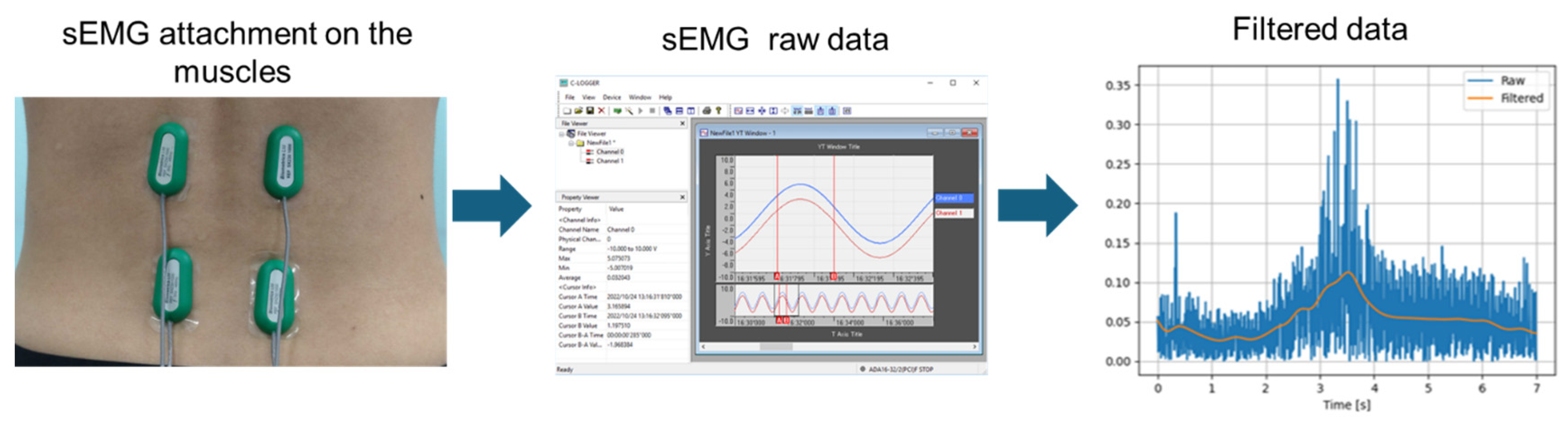 Biomechanics 05 00058 g005