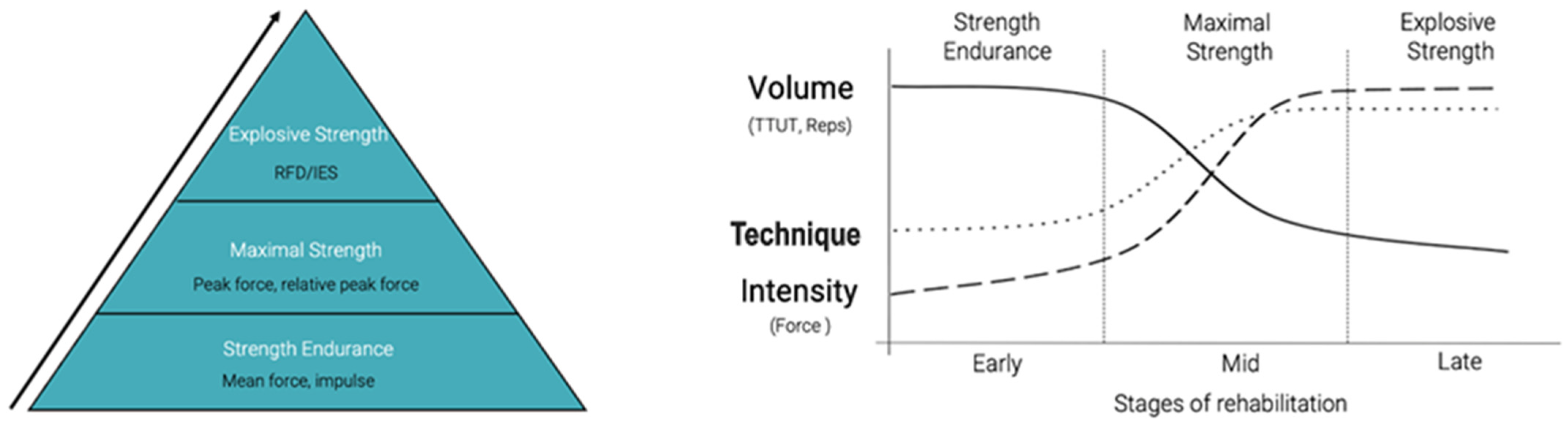 Biomechanics 05 00059 g002