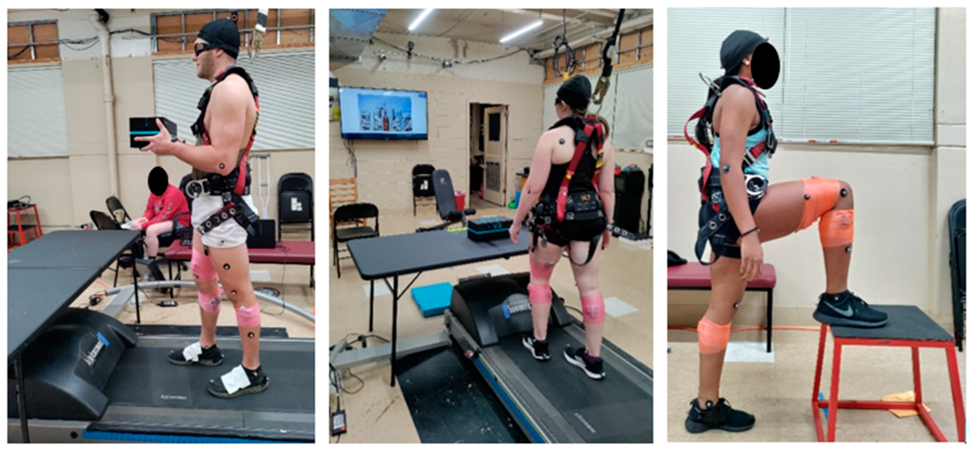 Biomechanics 05 00062 g001