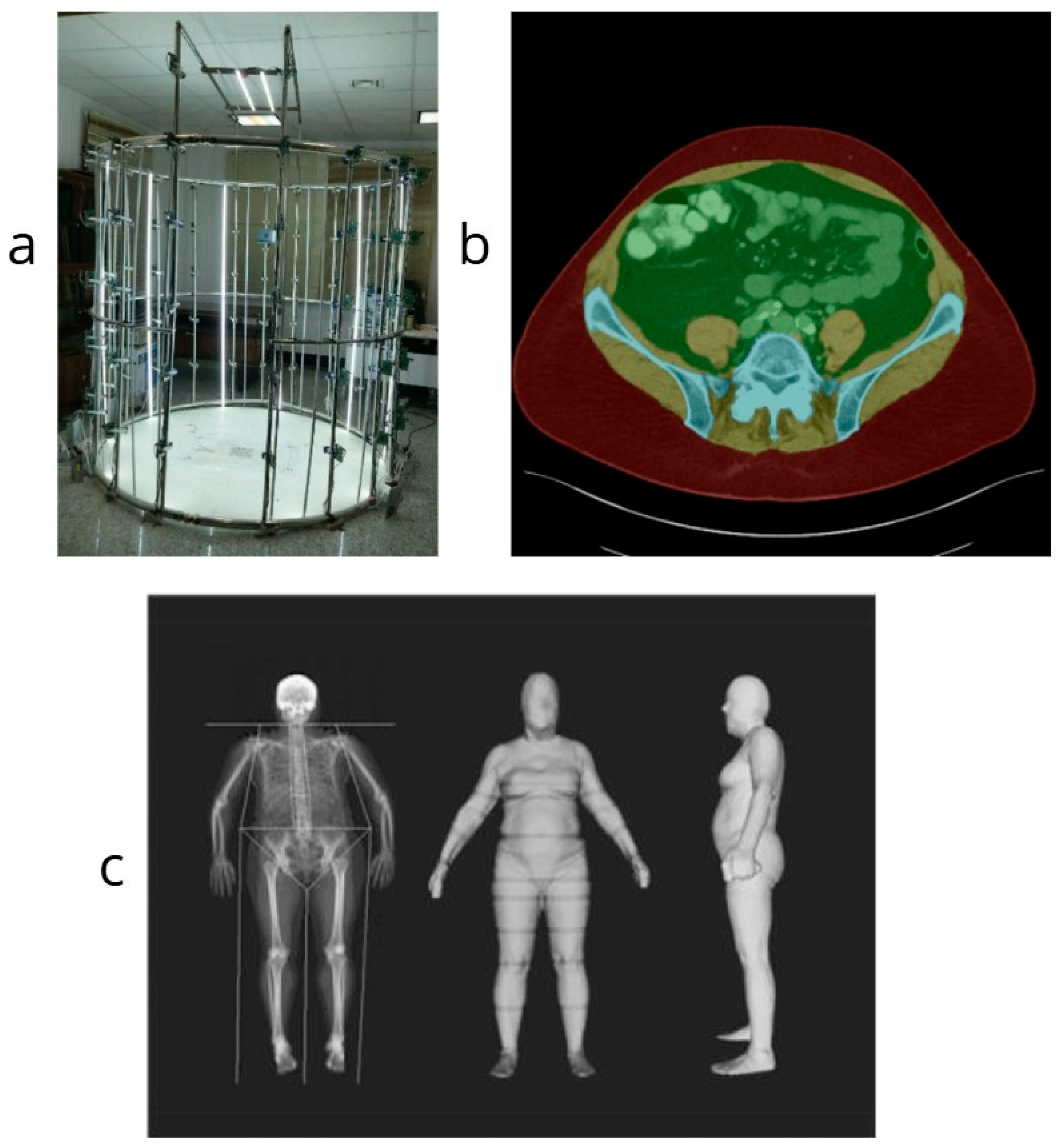 Biomechanics 05 00064 g002