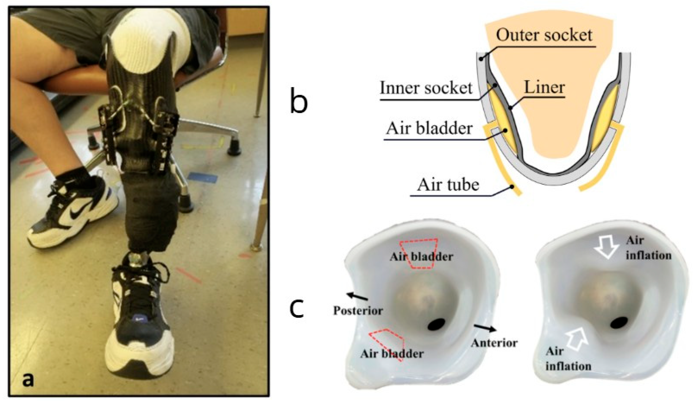 Biomechanics 05 00064 g003