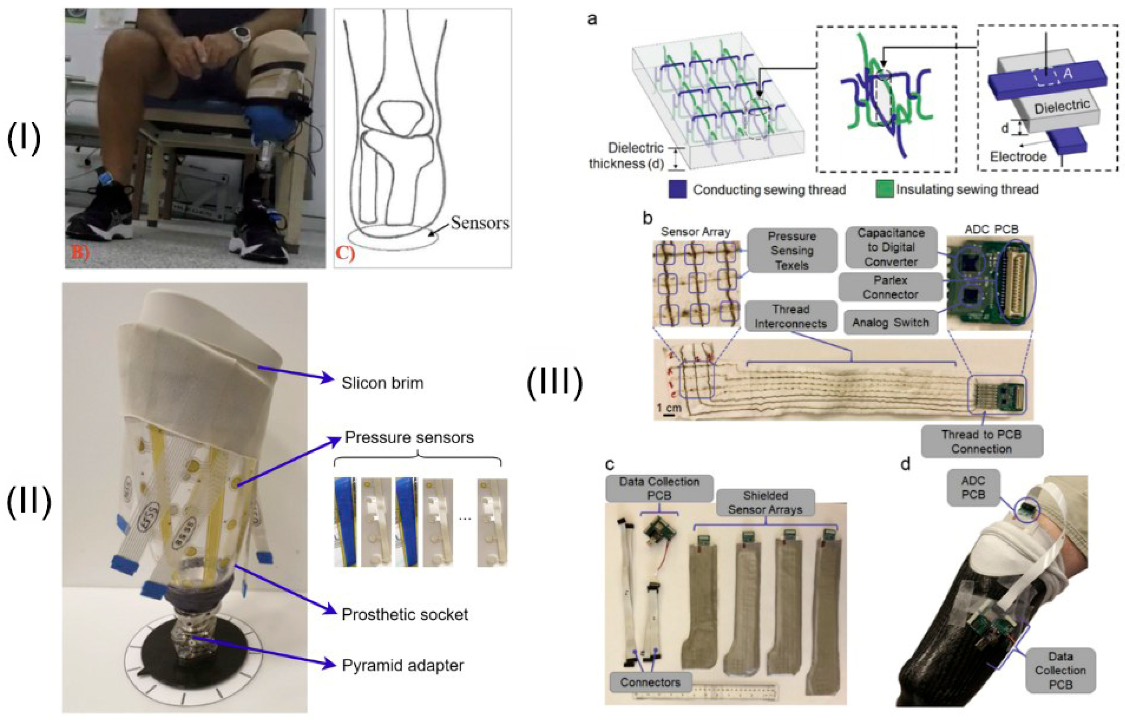 Biomechanics 05 00064 g004