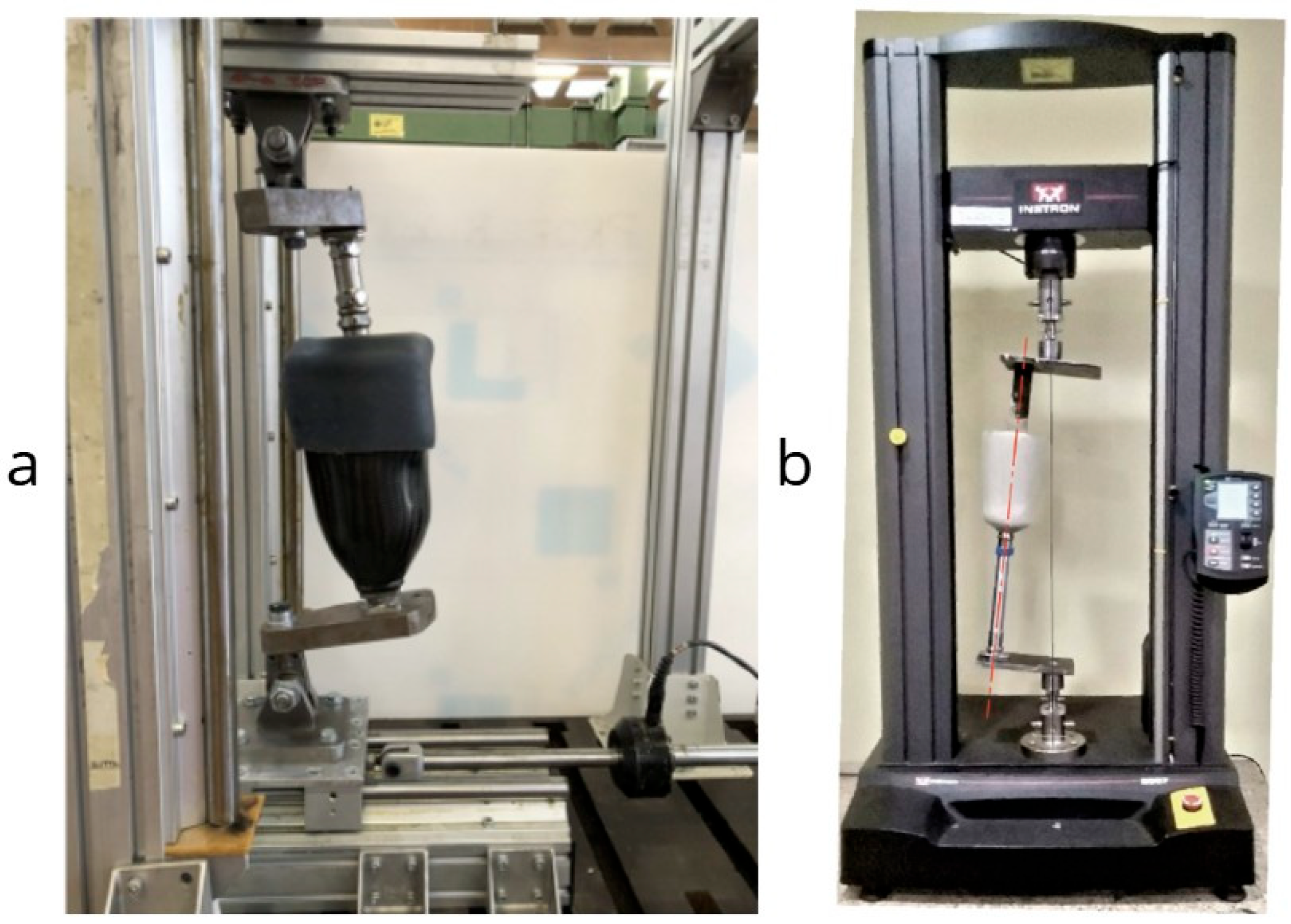 Biomechanics 05 00064 g005