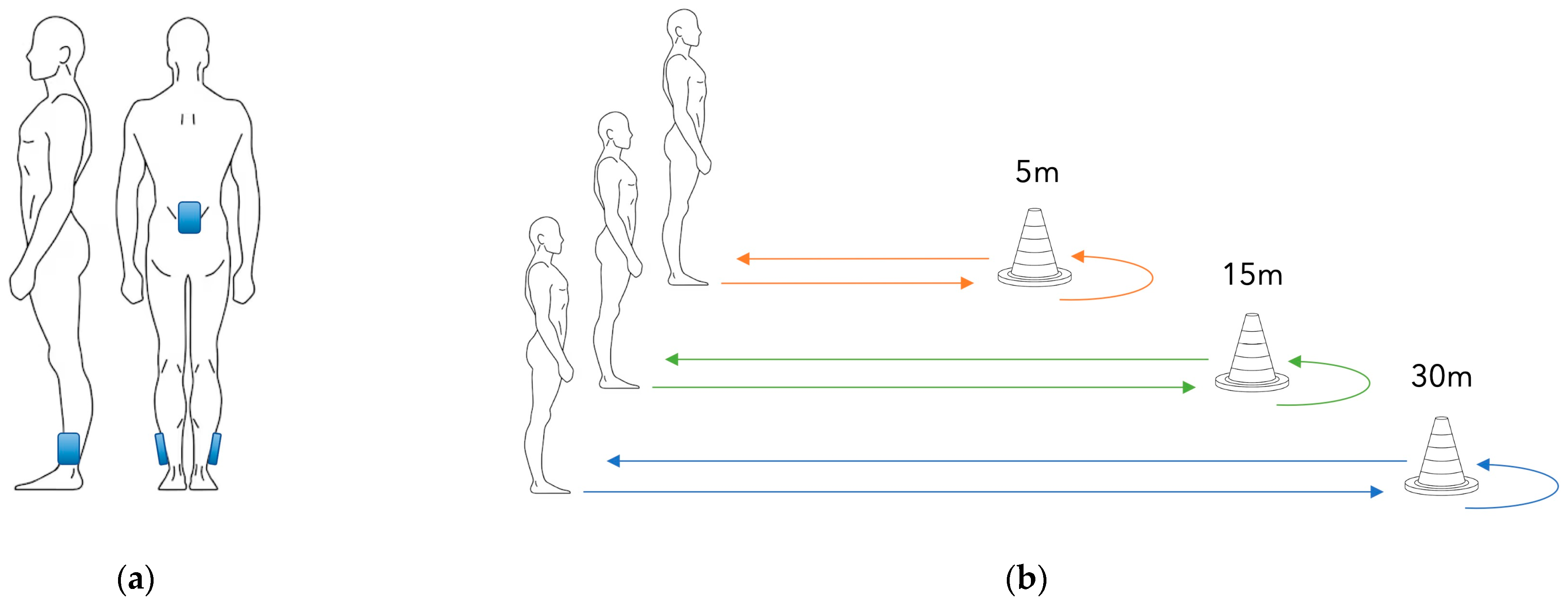 Biomechanics 05 00082 g001 Biomechanics 05 00082 g001