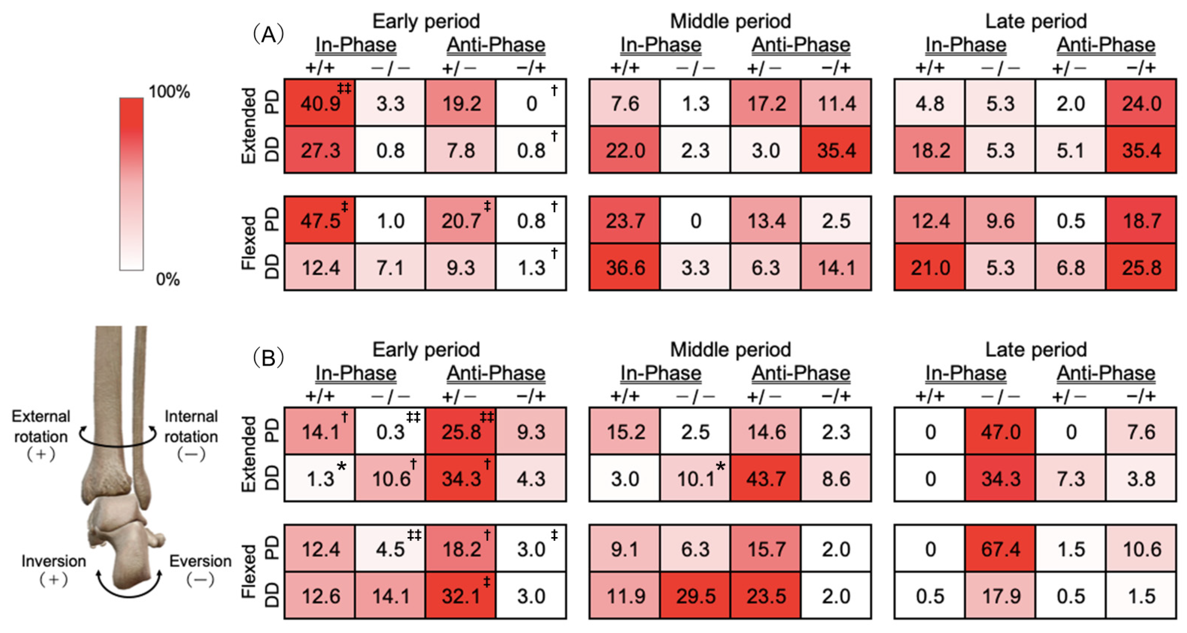 Biomechanics 05 00087 g001 Biomechanics 05 00087 g001
